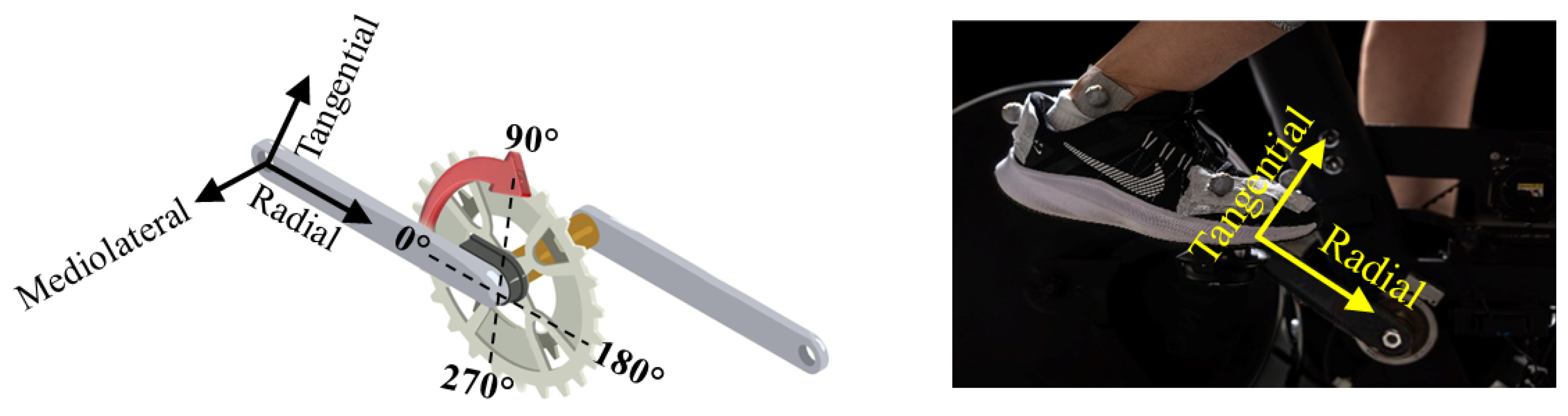 Sensors 24 06440 g002