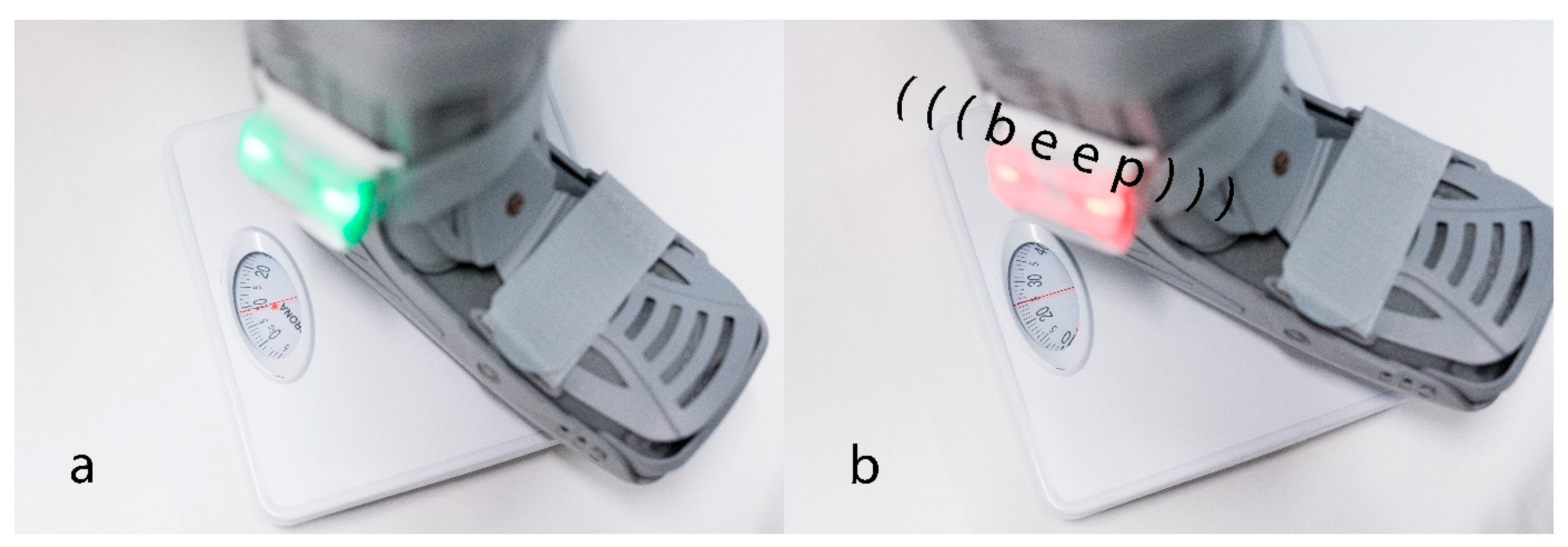 Sensors 24 06443 g001