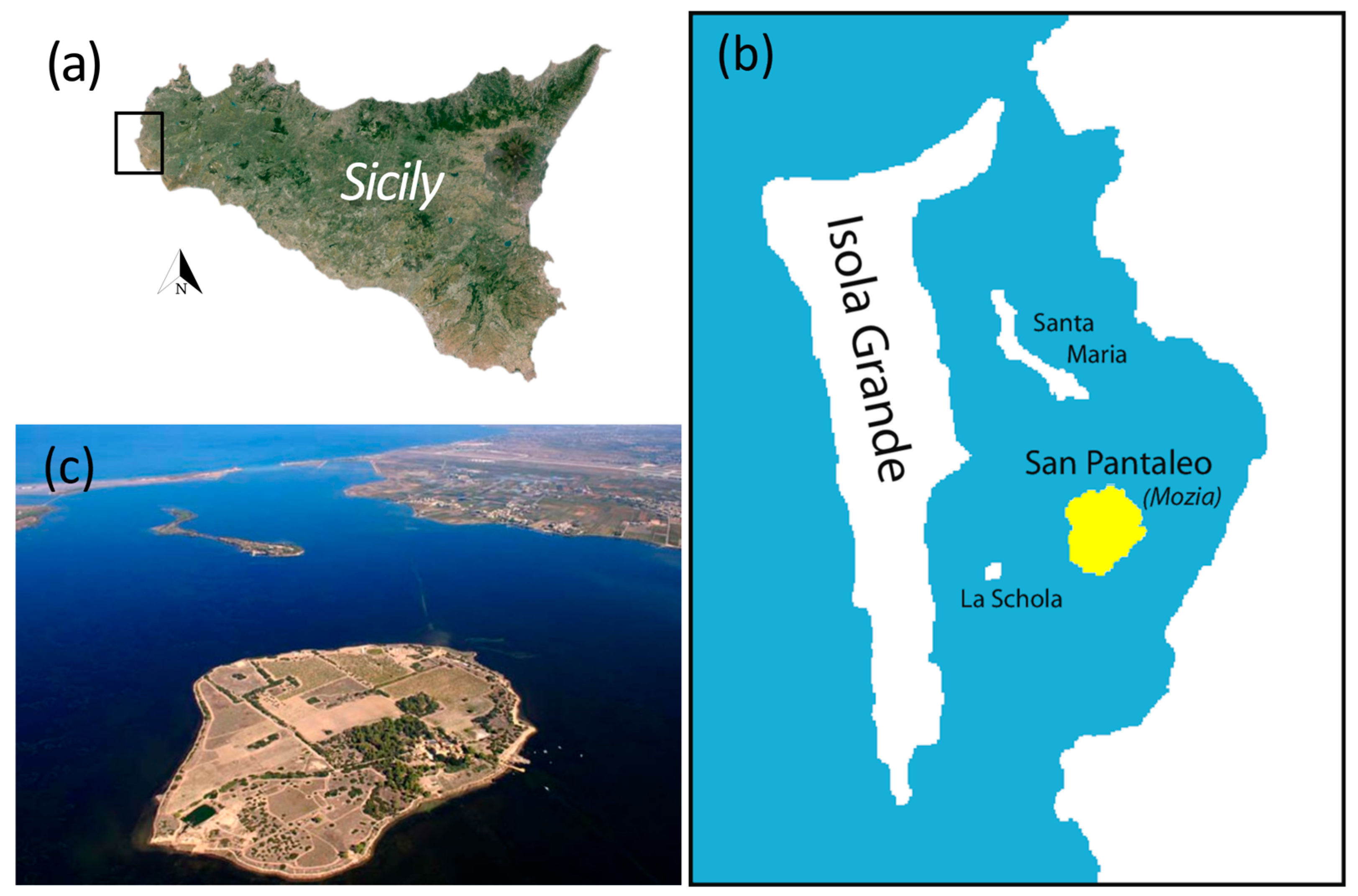 Sensors 24 06450 g001