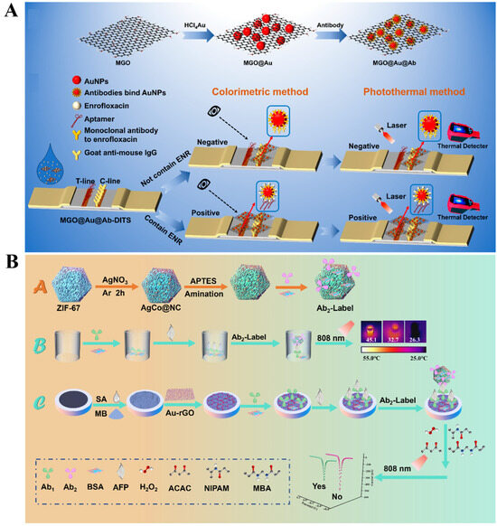Sensors 24 06458 g008