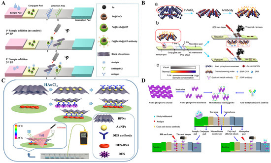 Sensors 24 06458 g009