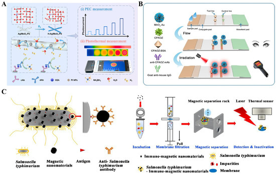 Sensors 24 06458 g012