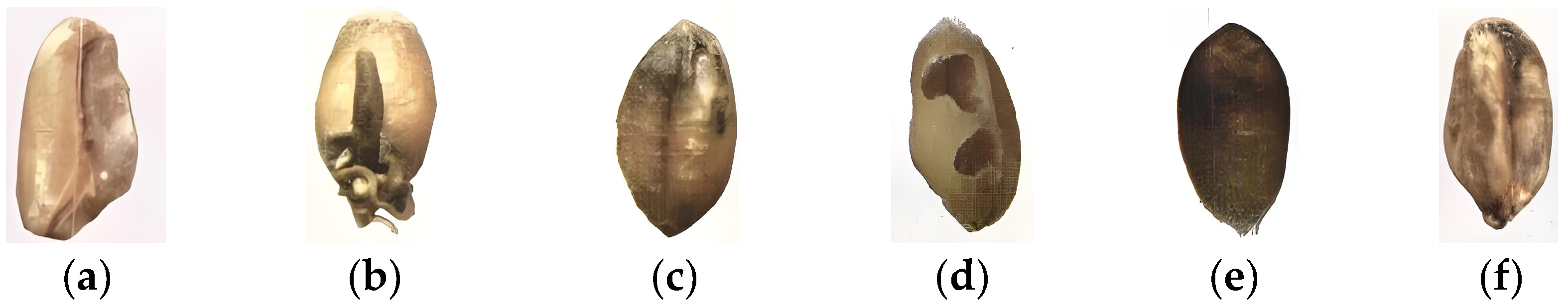 Sensors 24 06474 g001