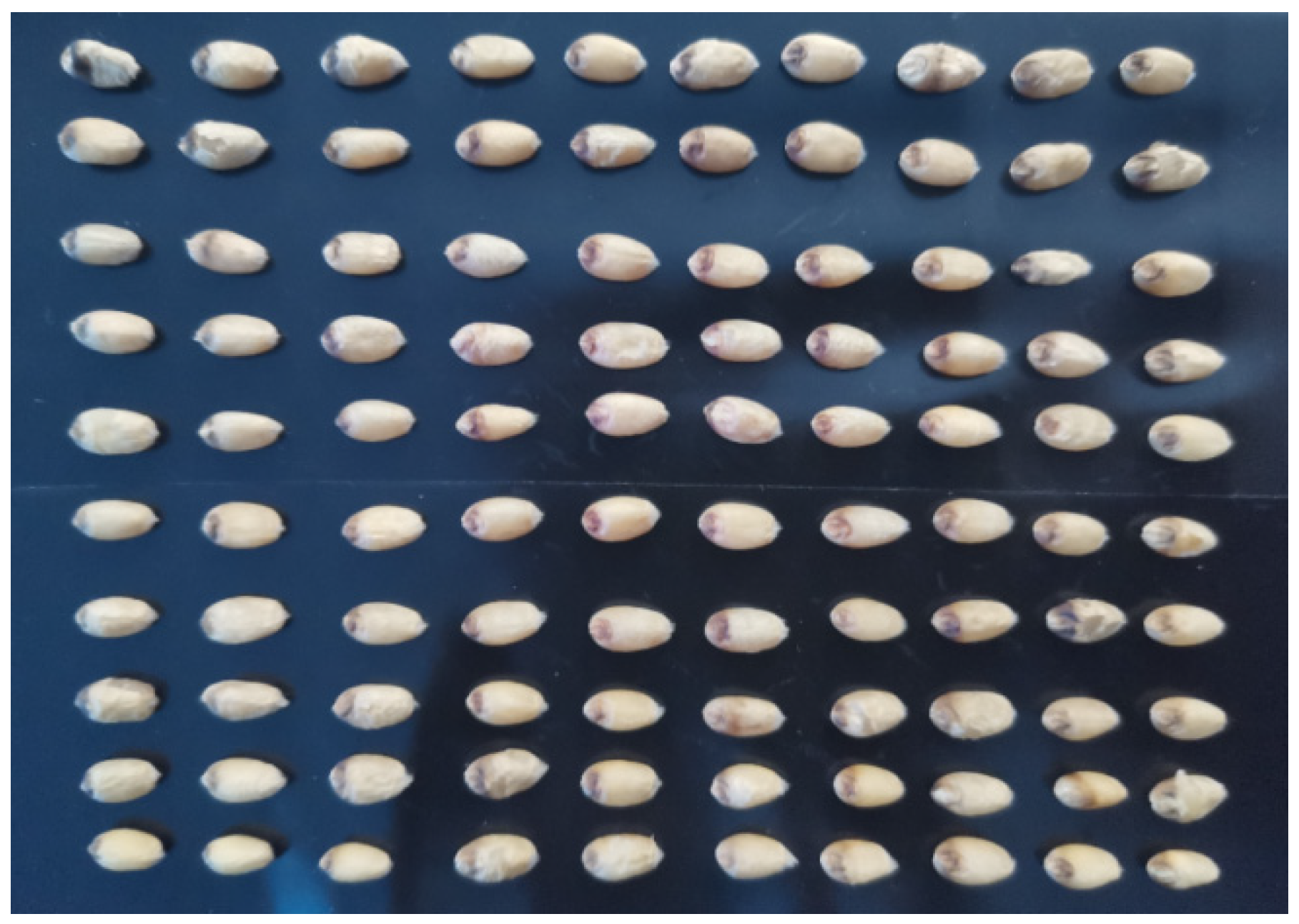 Sensors 24 06474 g003