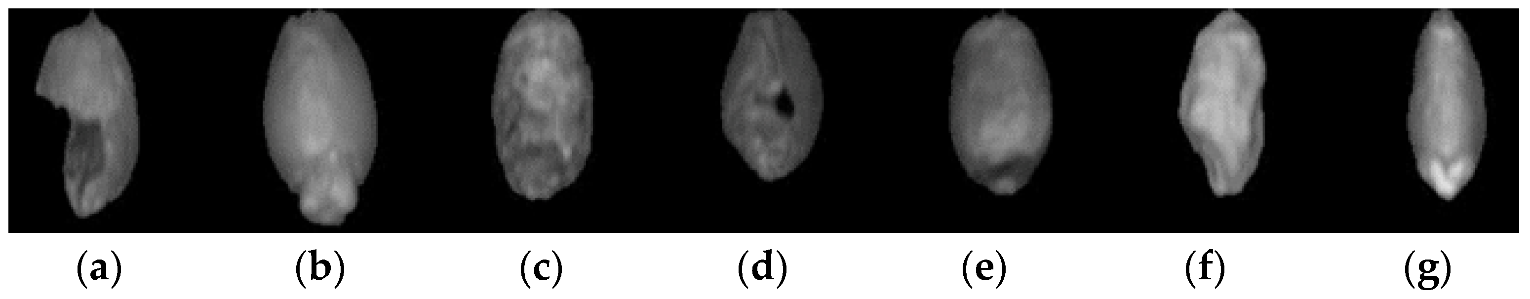 Sensors 24 06474 g006