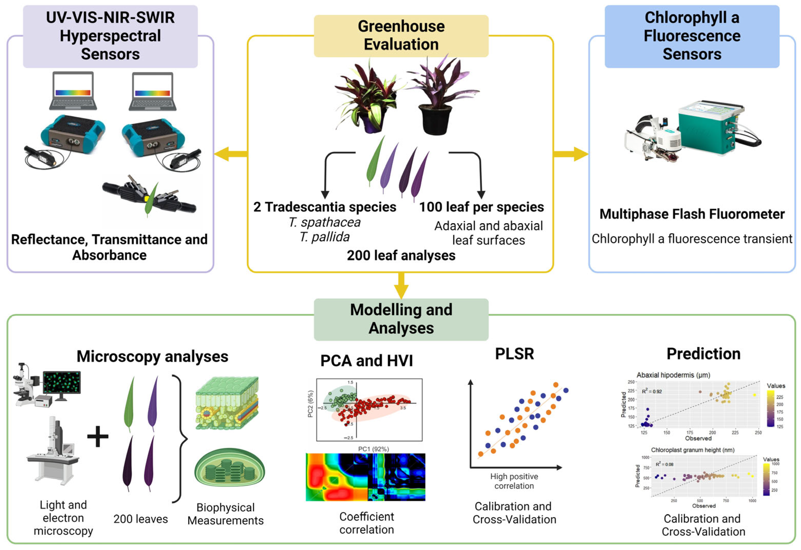Sensors 24 06490 g001