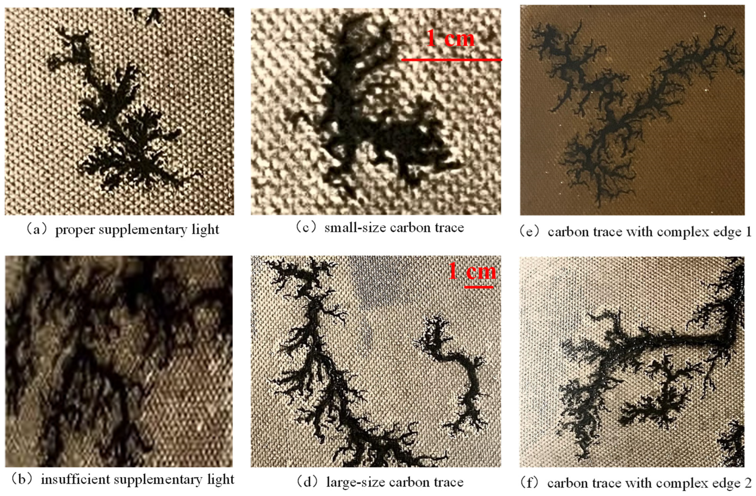 Sensors 24 06498 g002