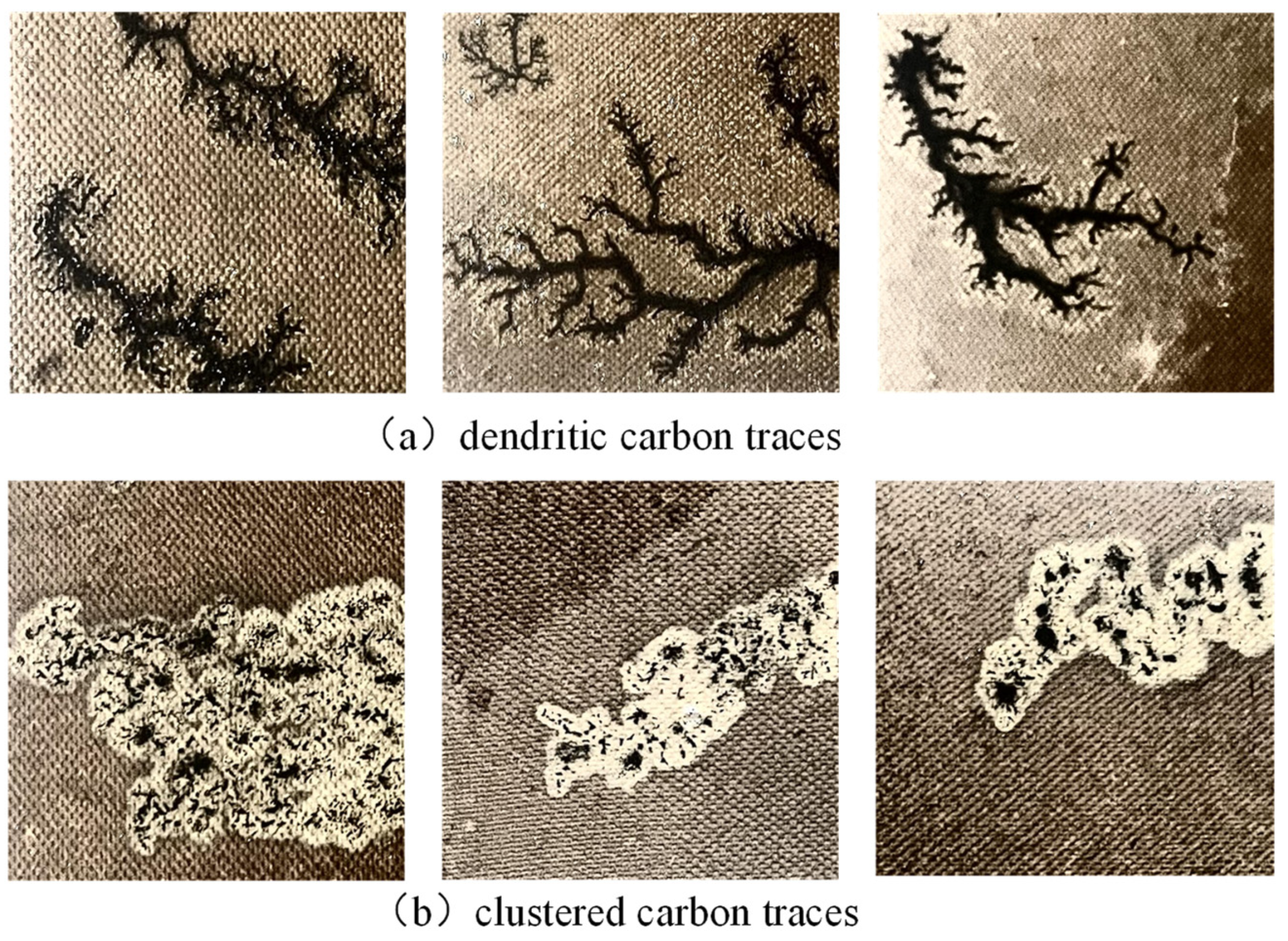 Sensors 24 06498 g005