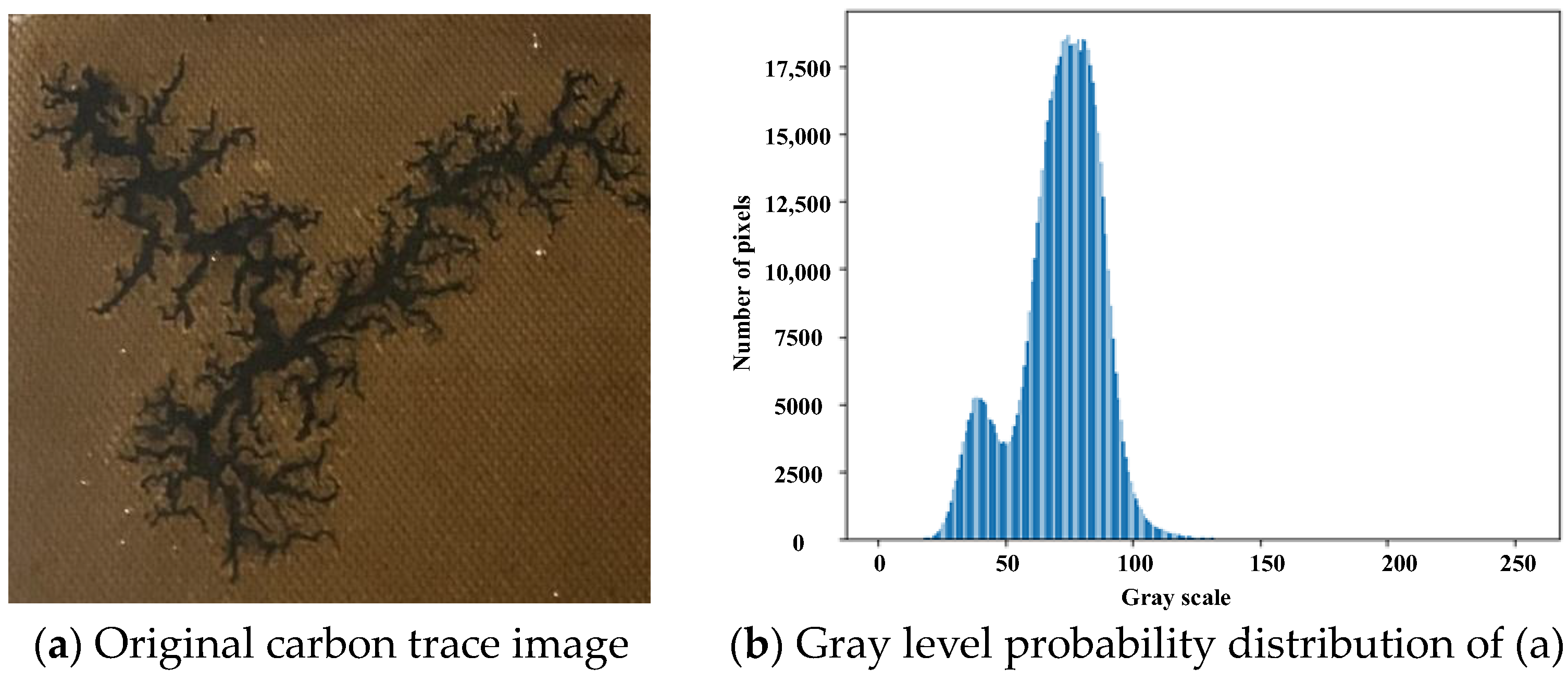 Sensors 24 06498 g006a