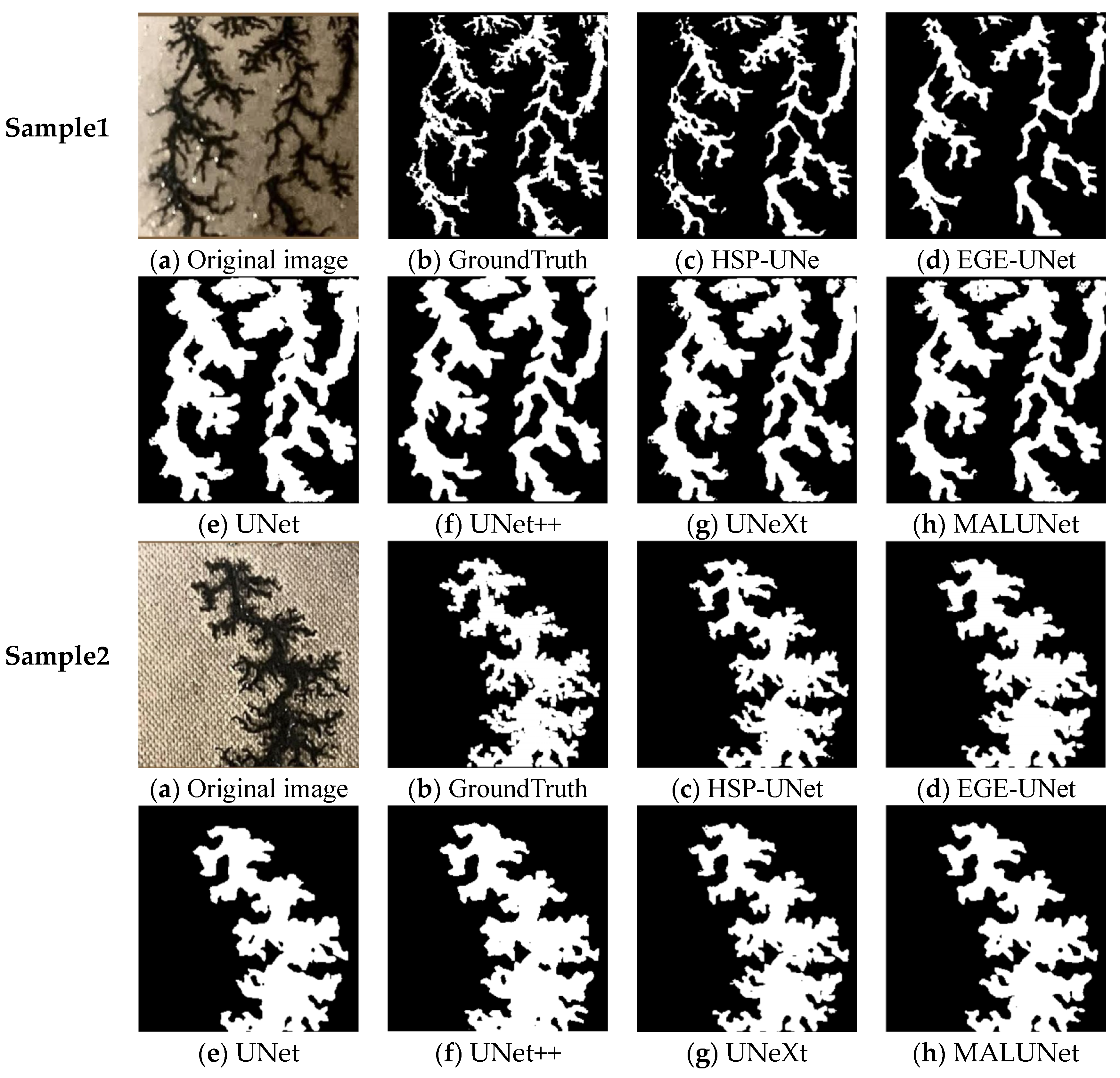 Sensors 24 06498 g011