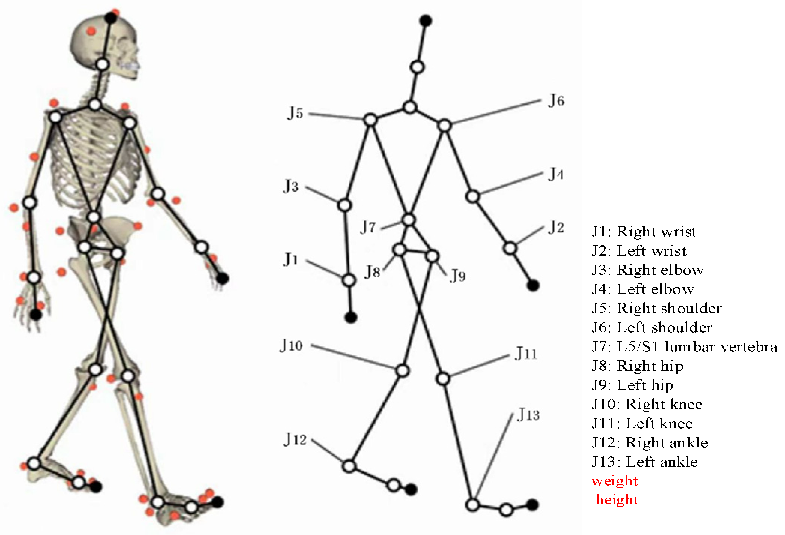 Sensors 24 06504 g003
