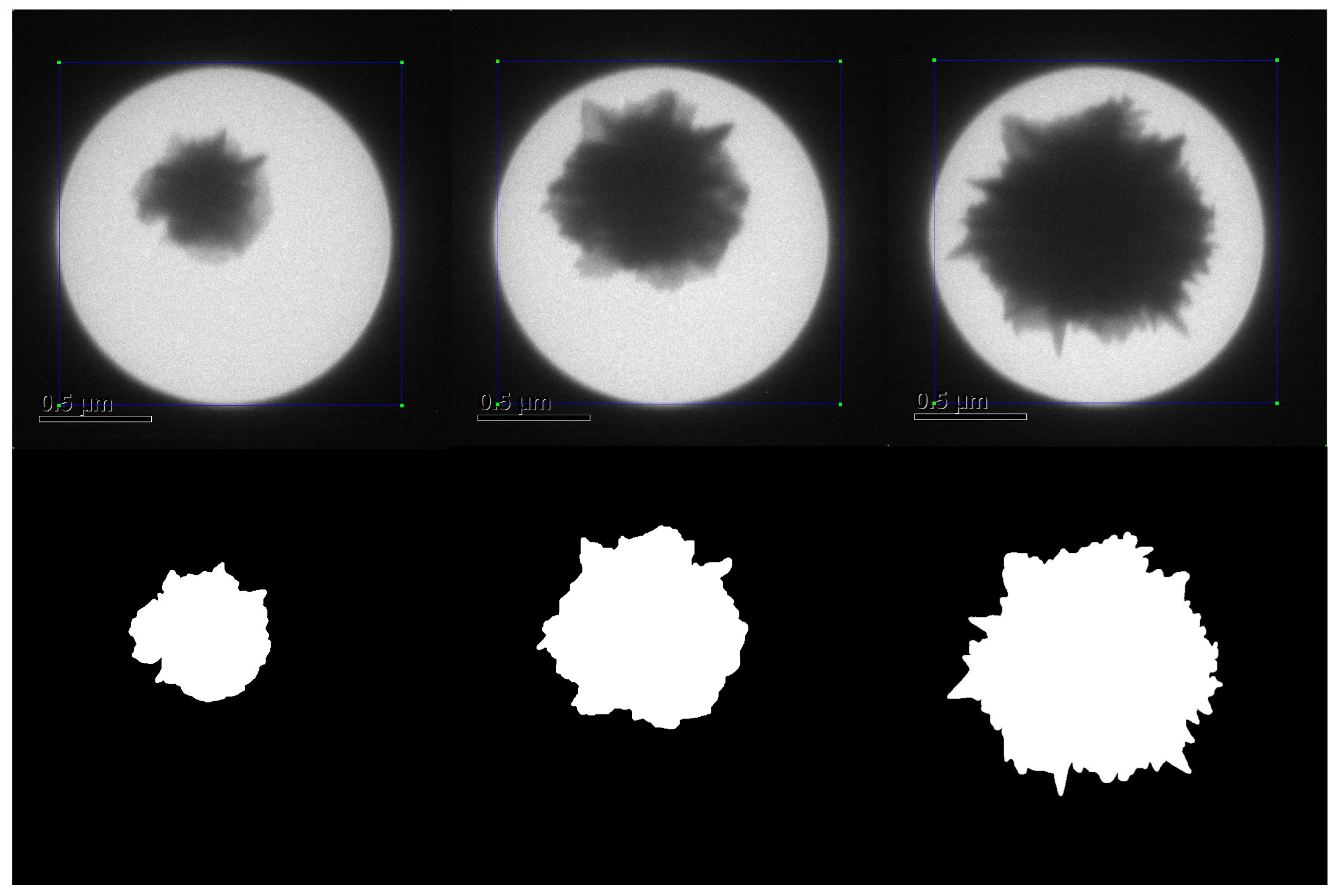 Sensors 24 06541 g003