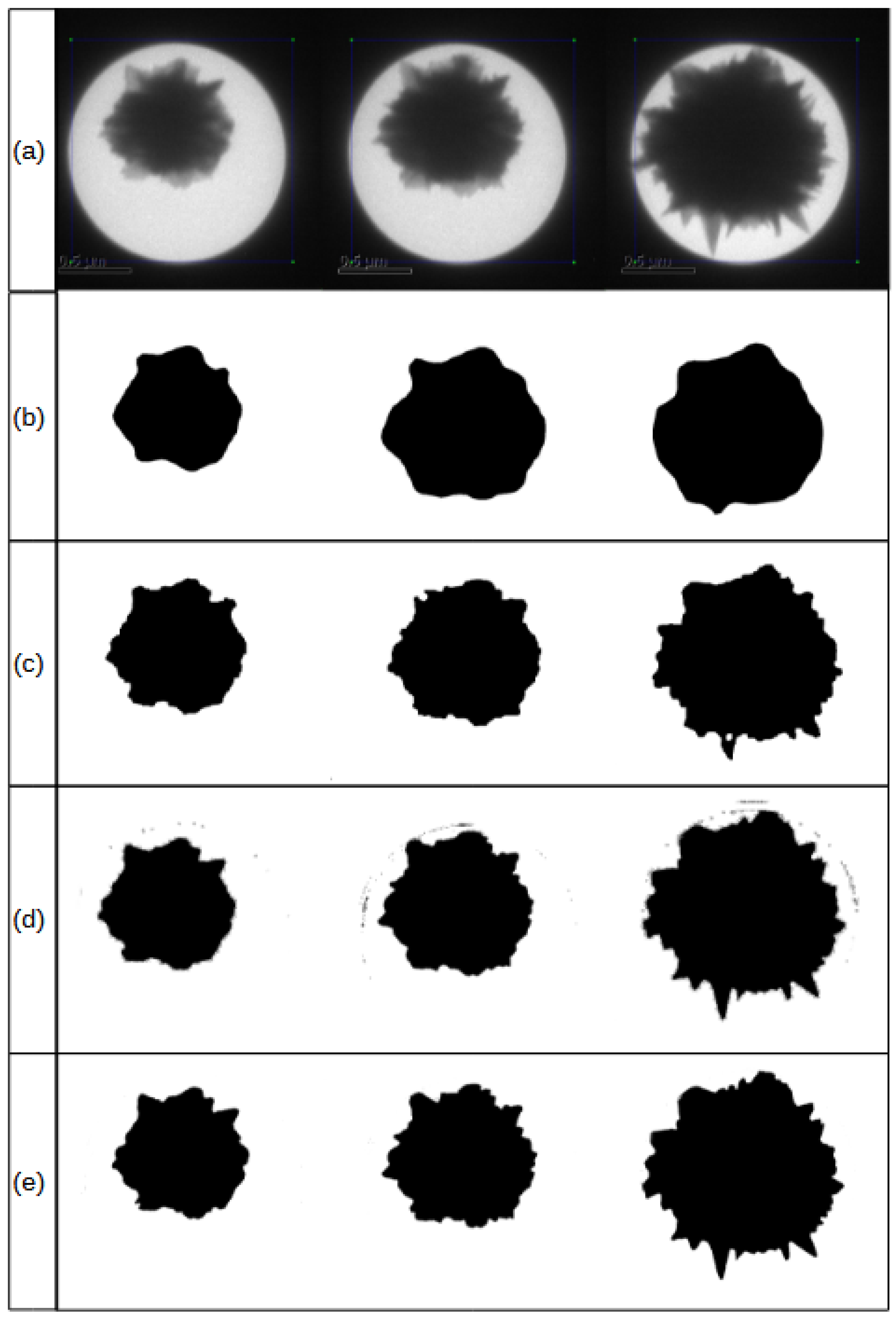 Sensors 24 06541 g006