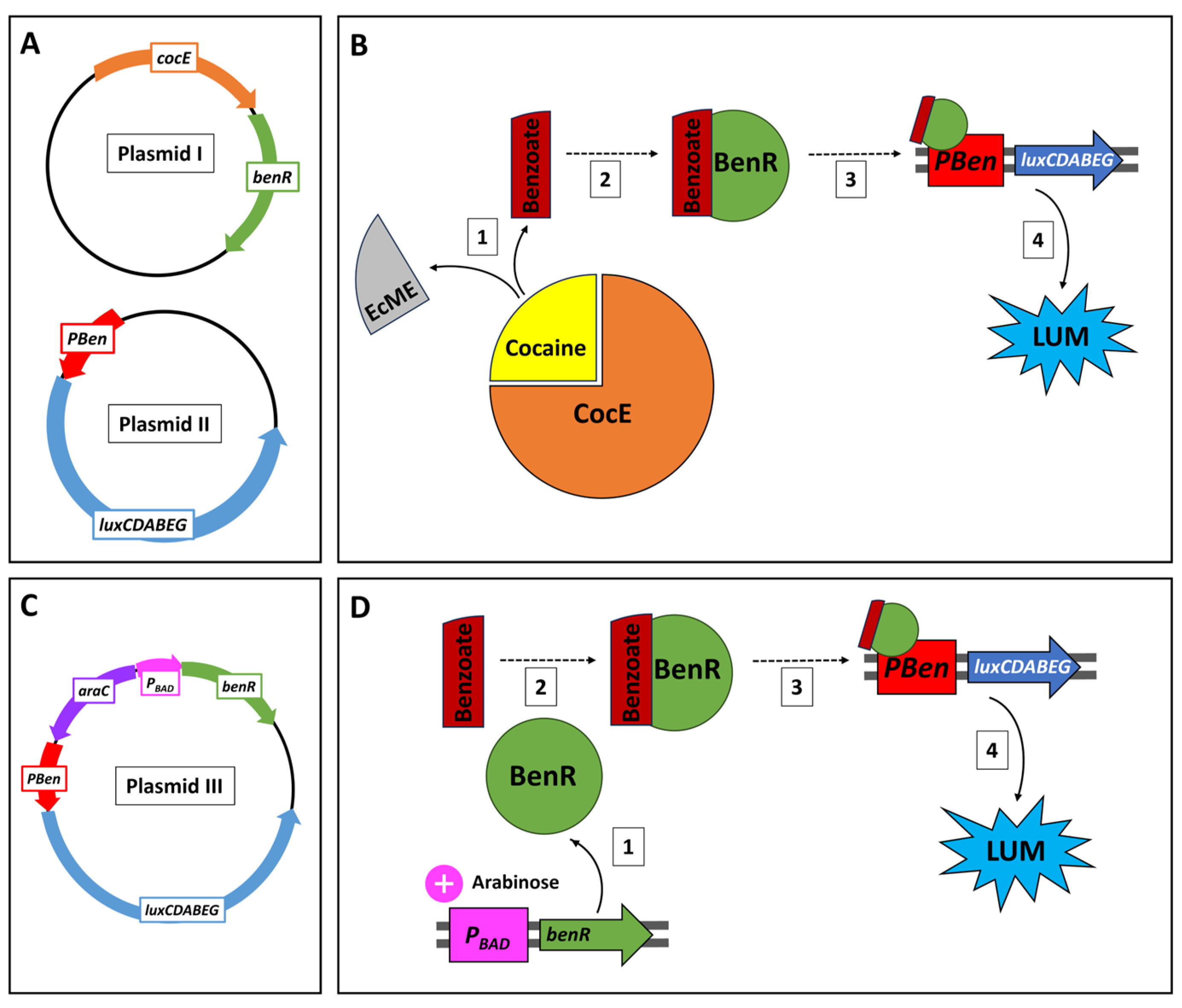 Sensors 24 06549 g001 Sensors 24 06549 g001