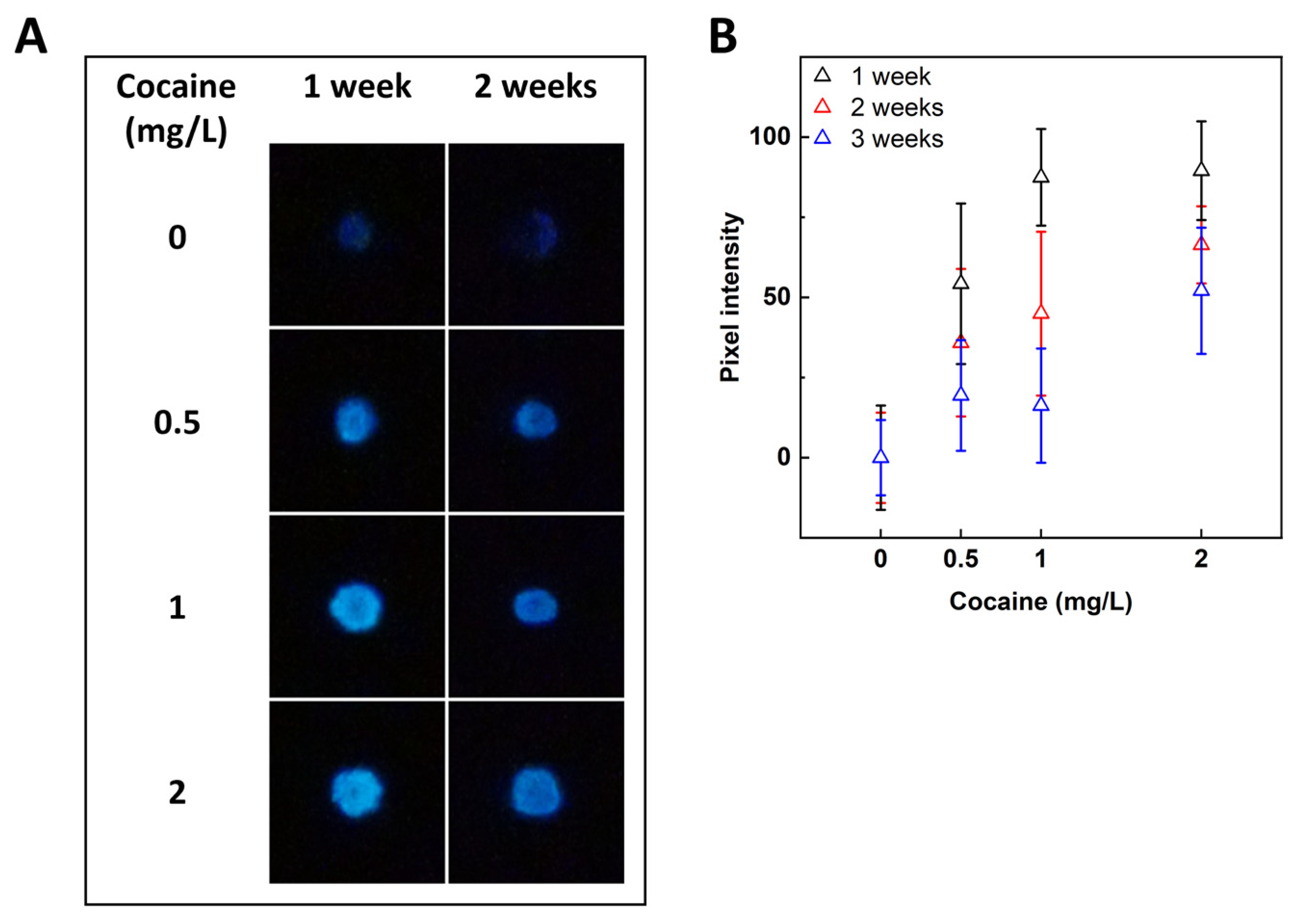 Sensors 24 06549 g003 Sensors 24 06549 g003