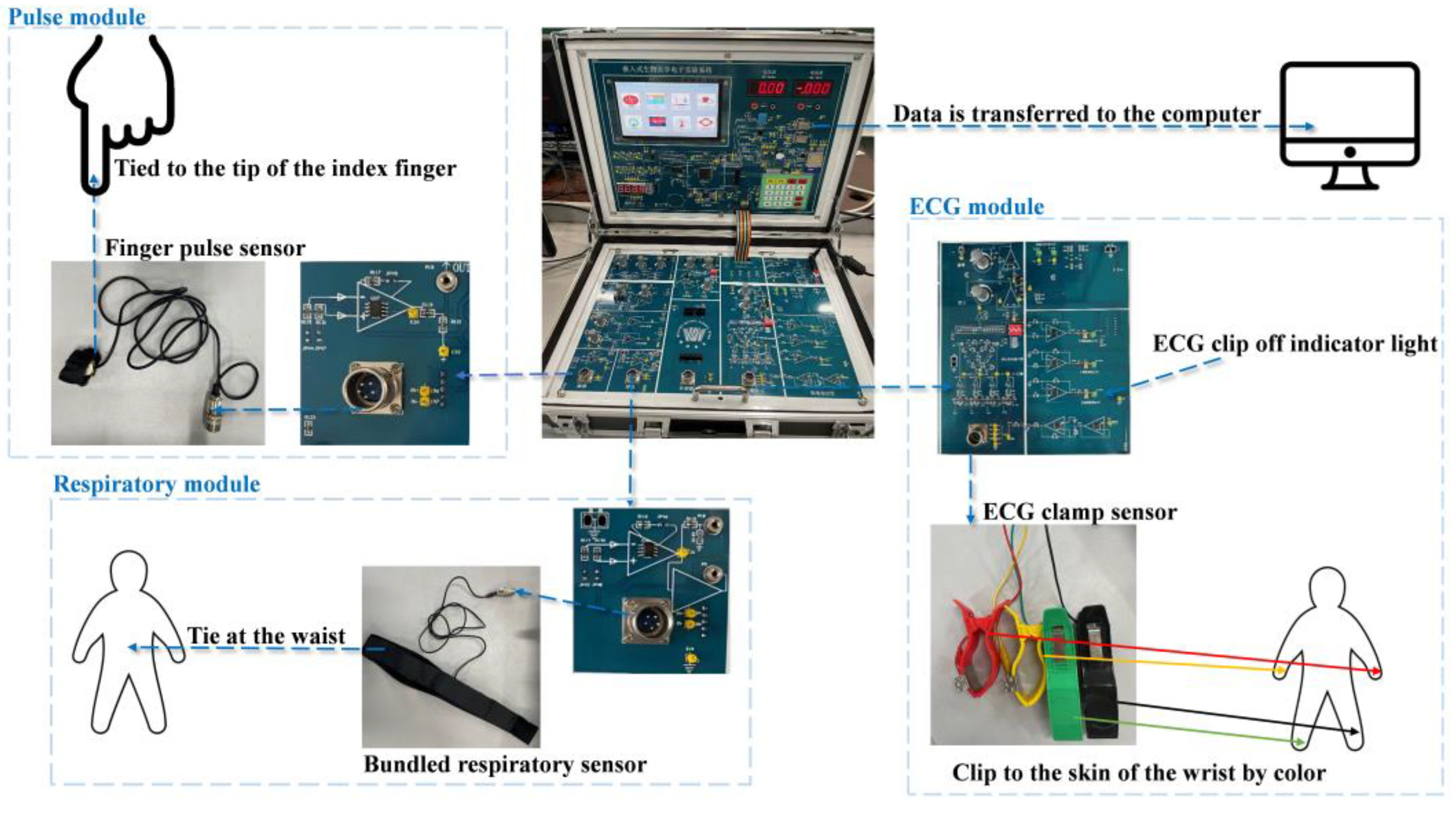 Sensors 24 06558 g002