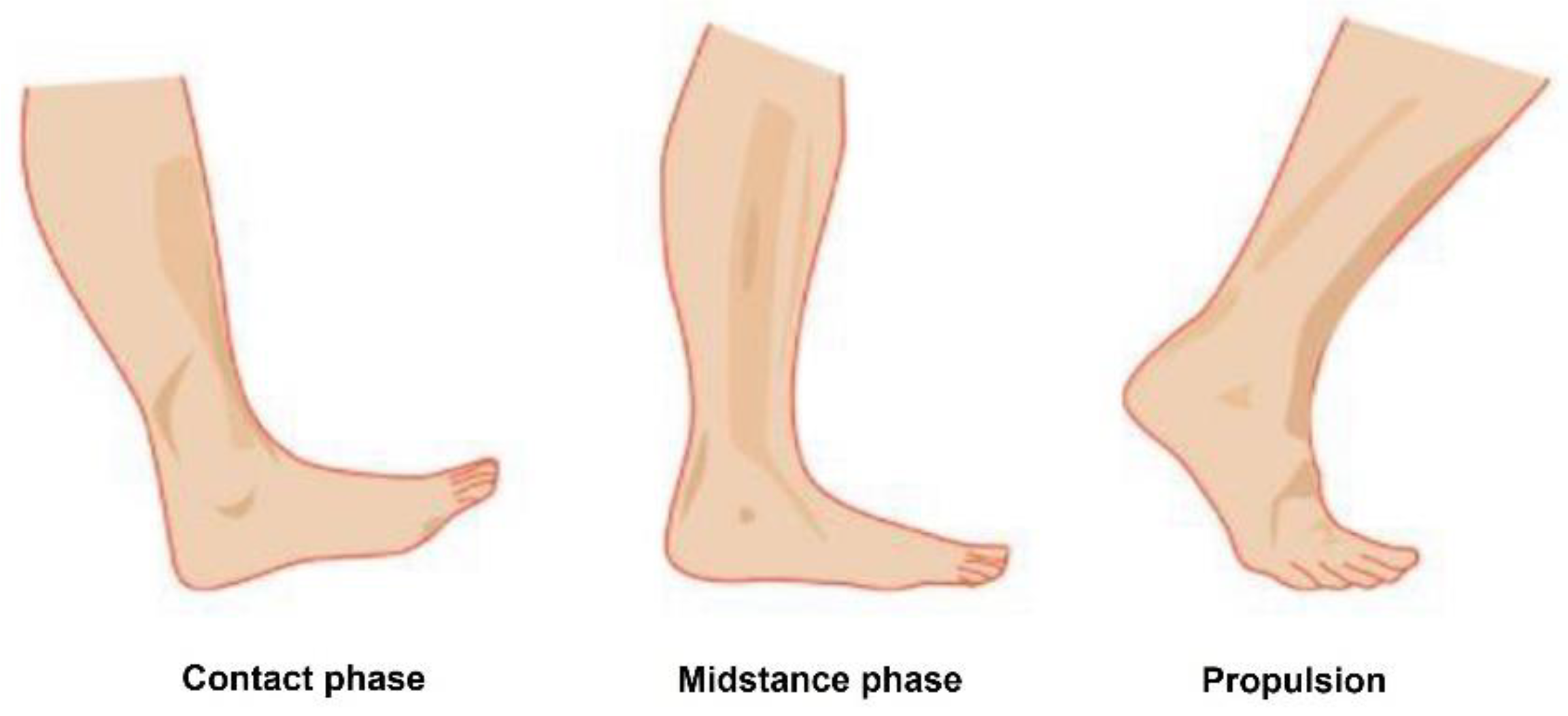 Sensors 24 06567 g002