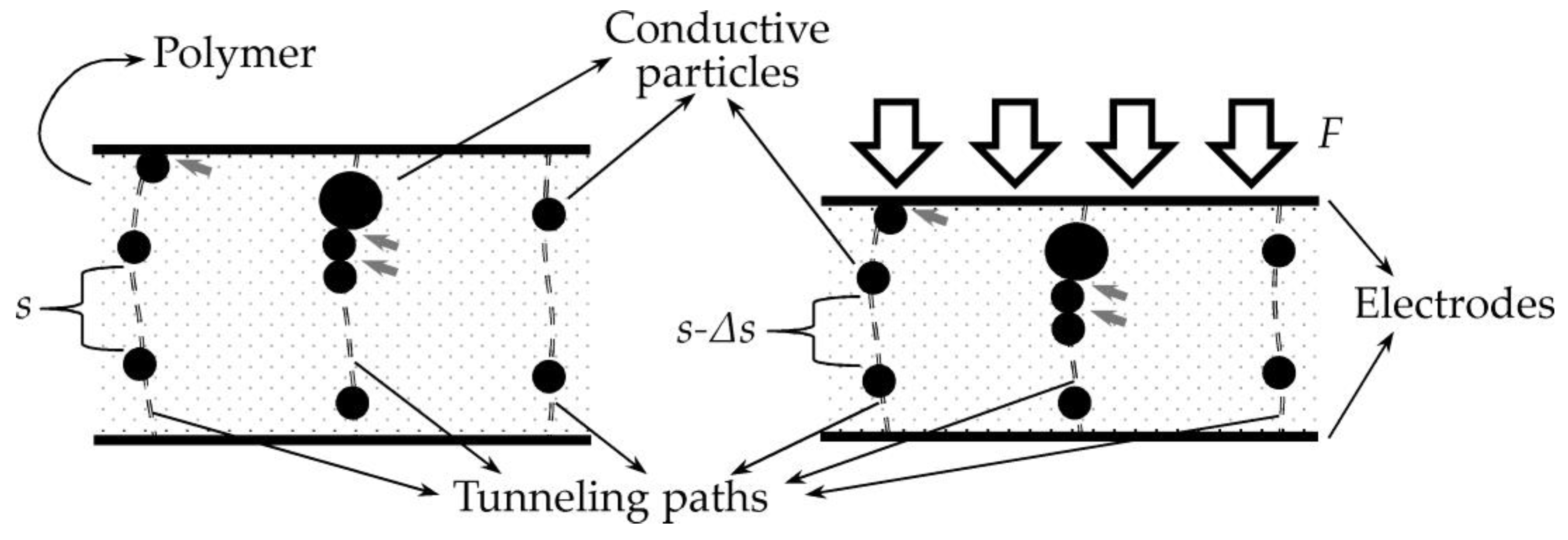 Sensors 24 06592 g001