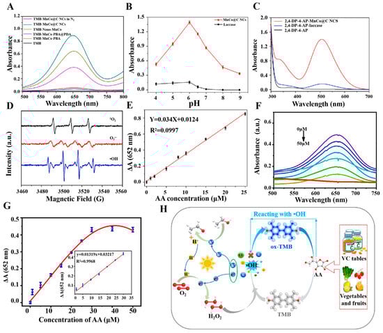 Sensors 24 06616 g003