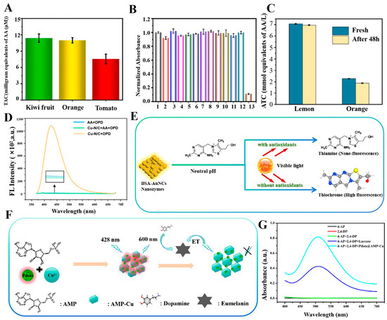 Sensors 24 06616 g004
