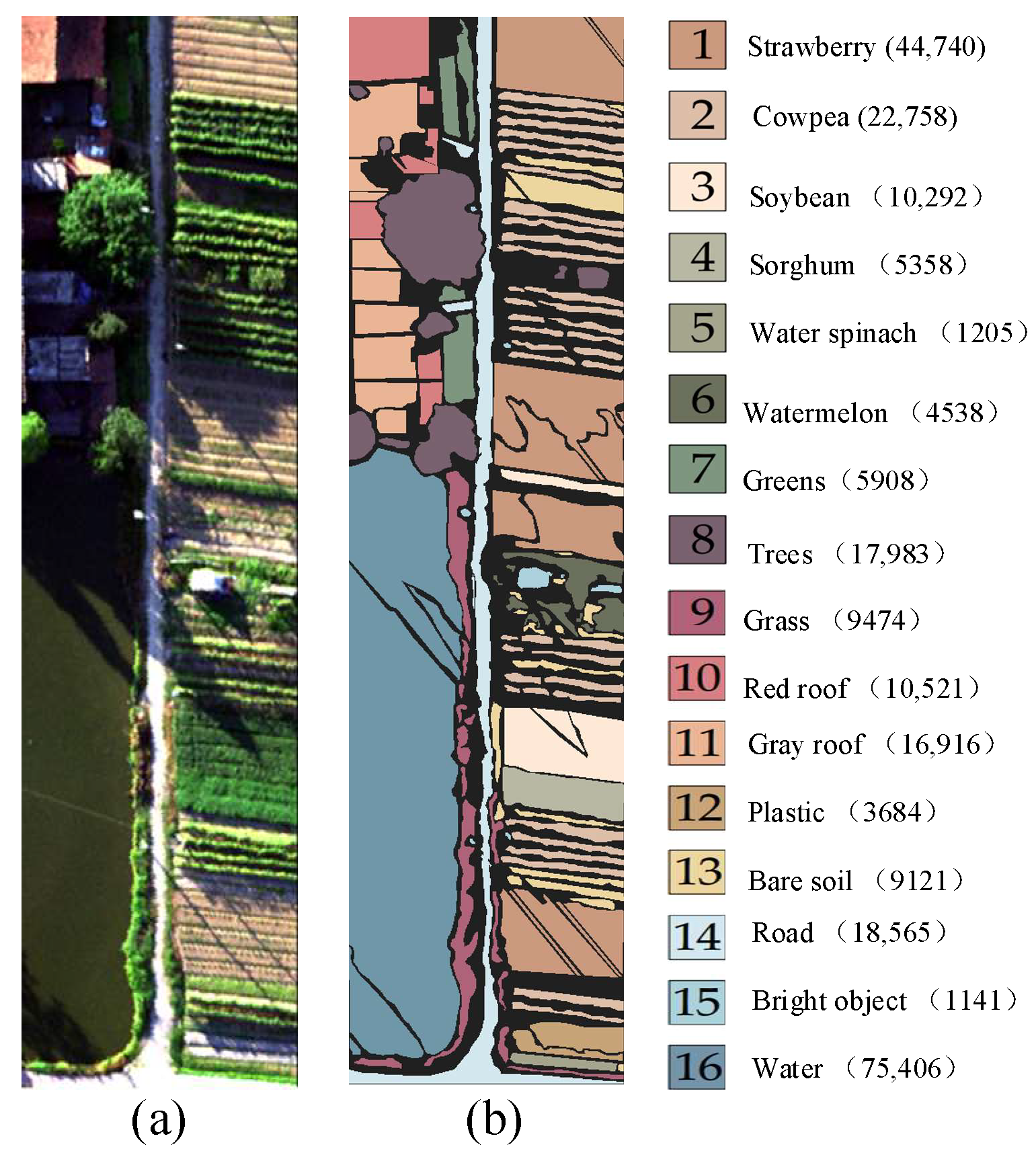 Sensors 24 06647 g007