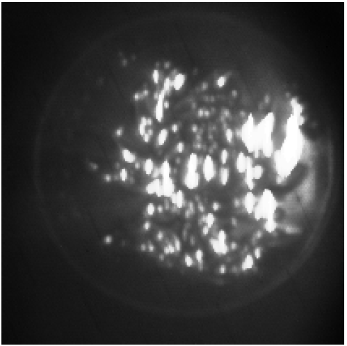 Sensors 24 06681 i001