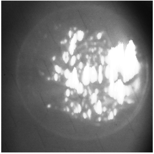 Sensors 24 06681 i002