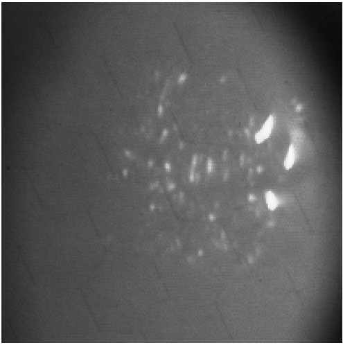 Sensors 24 06681 i004