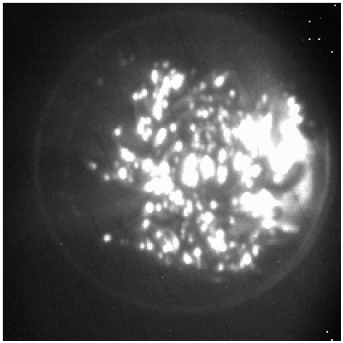 Sensors 24 06681 i005