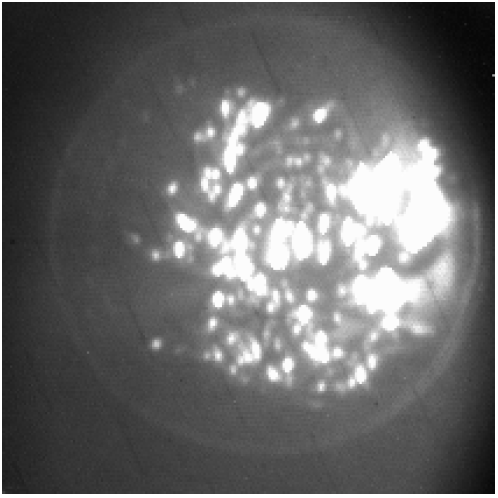 Sensors 24 06681 i006