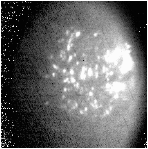 Sensors 24 06681 i008