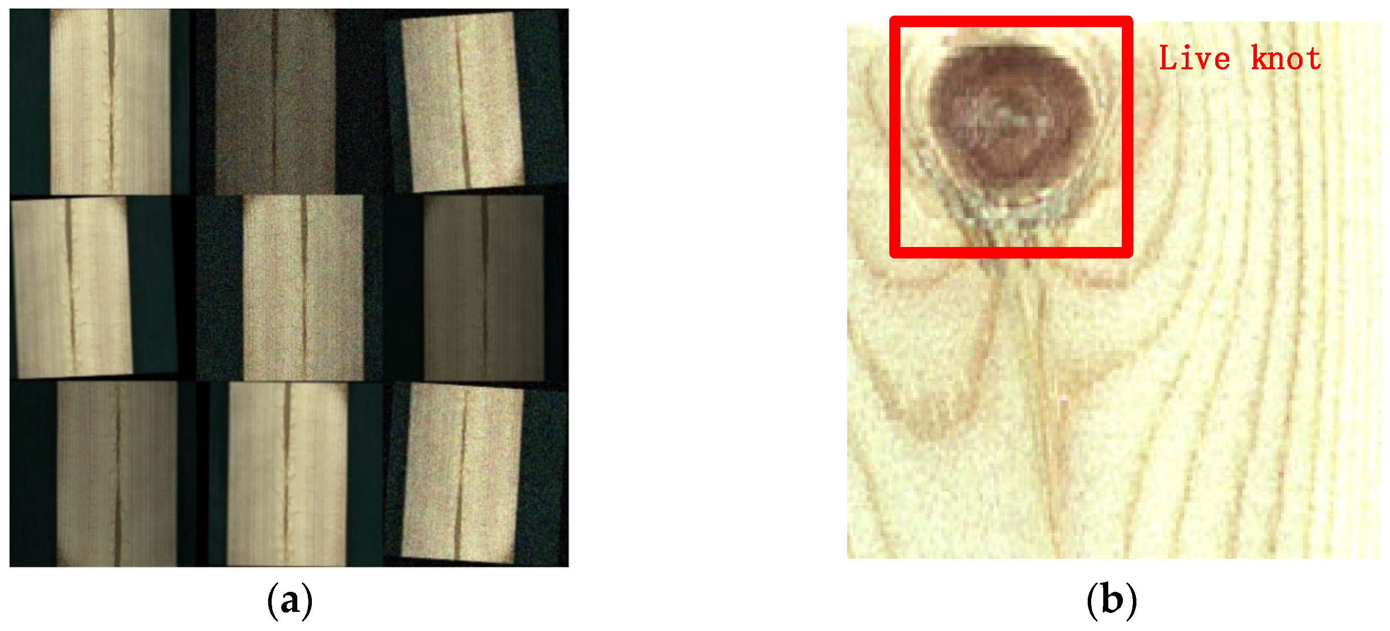 Sensors 24 06697 g004