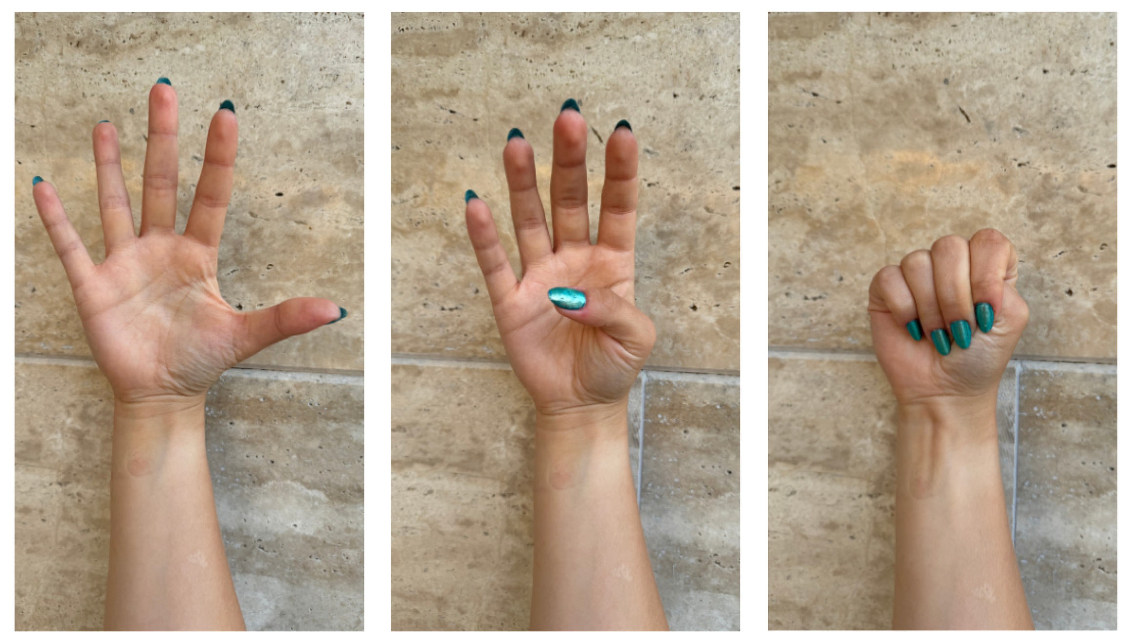 Sensors 24 06710 g001