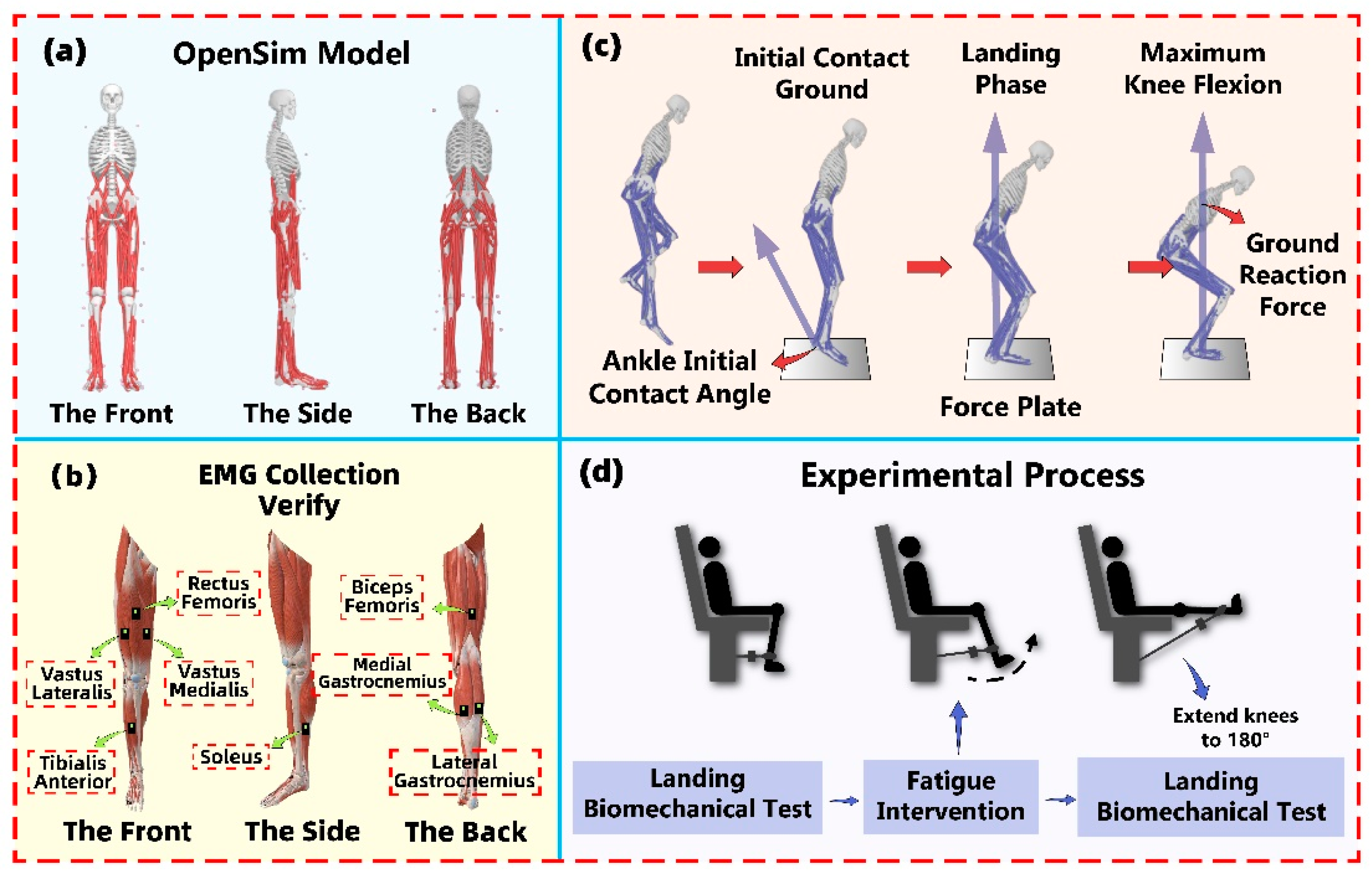 Sensors 24 06712 g001