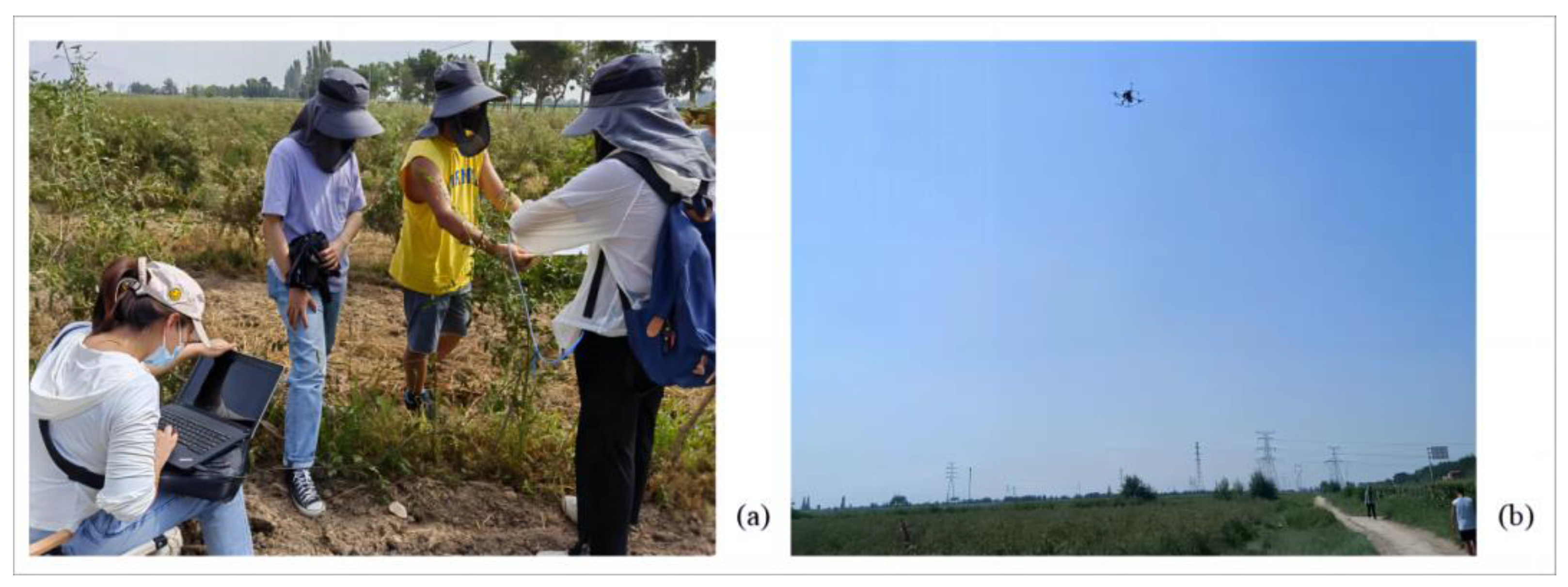 Sensors 24 06739 g001