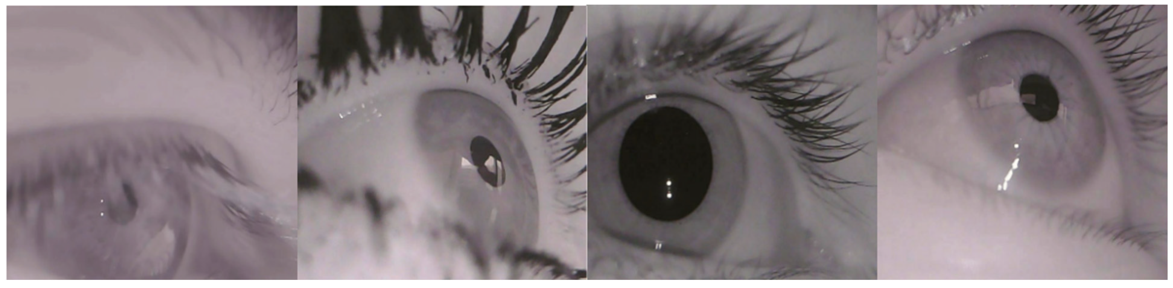 Sensors 24 06740 g003