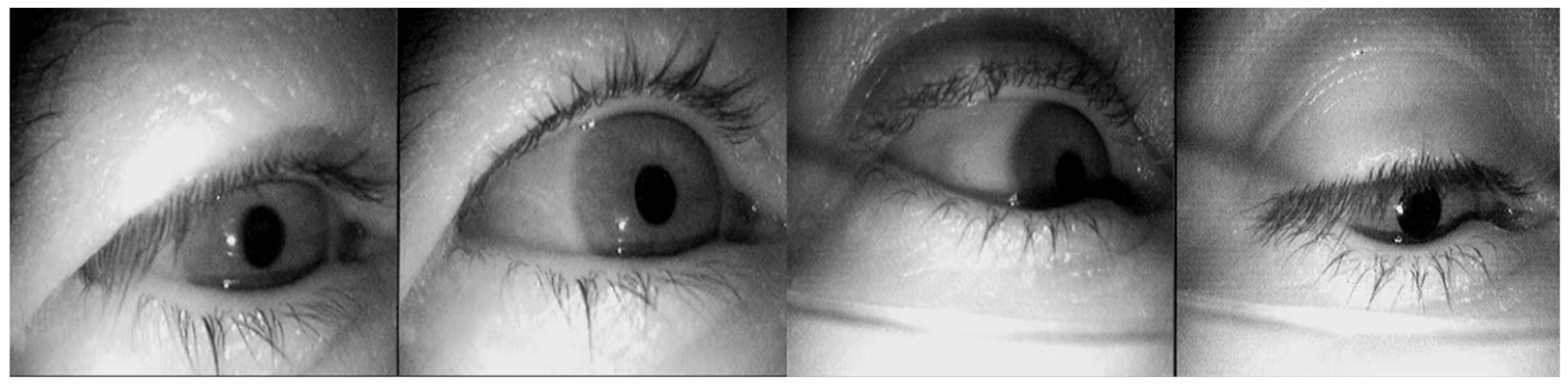 Sensors 24 06740 g004