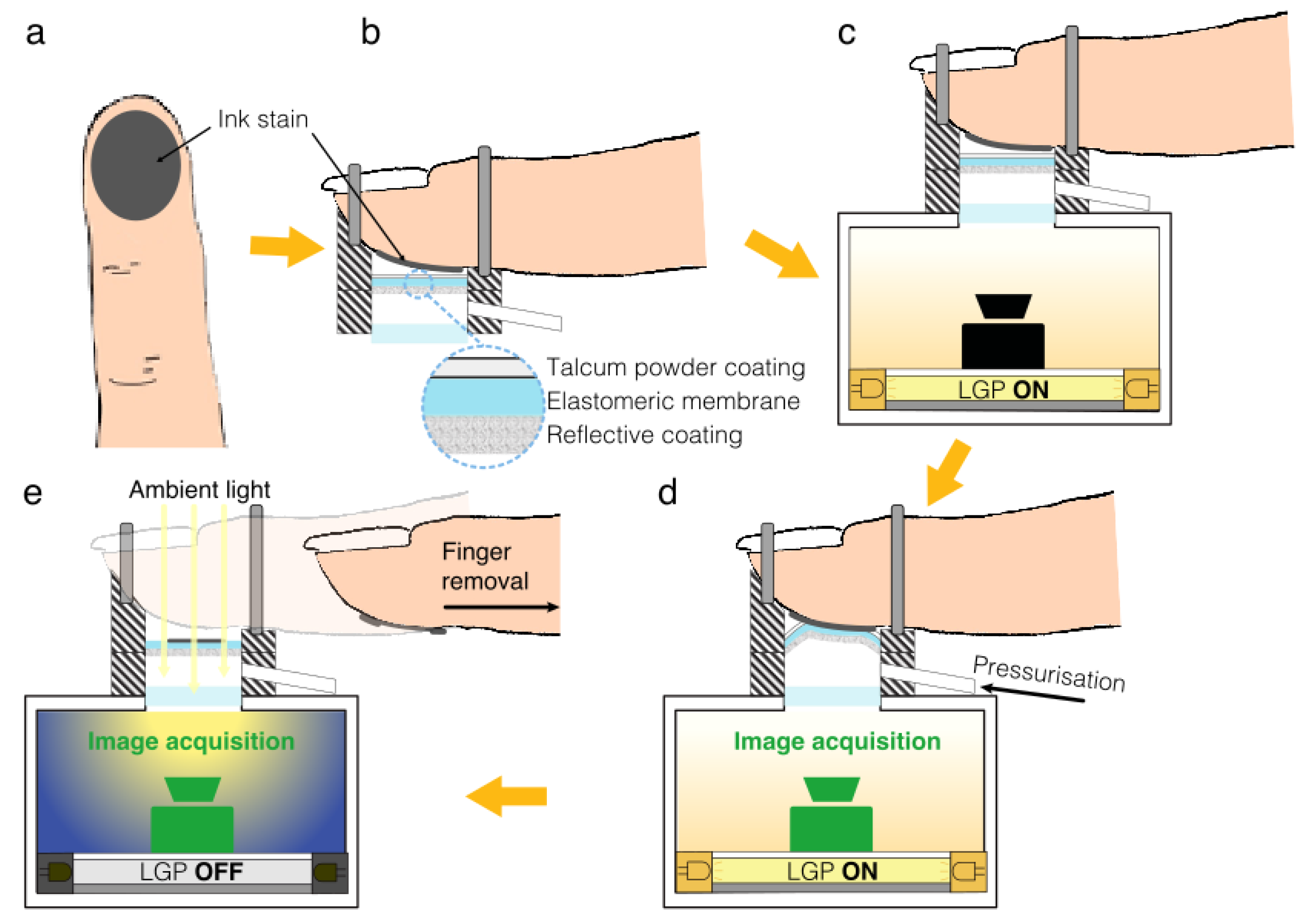 Sensors 24 06770 g004