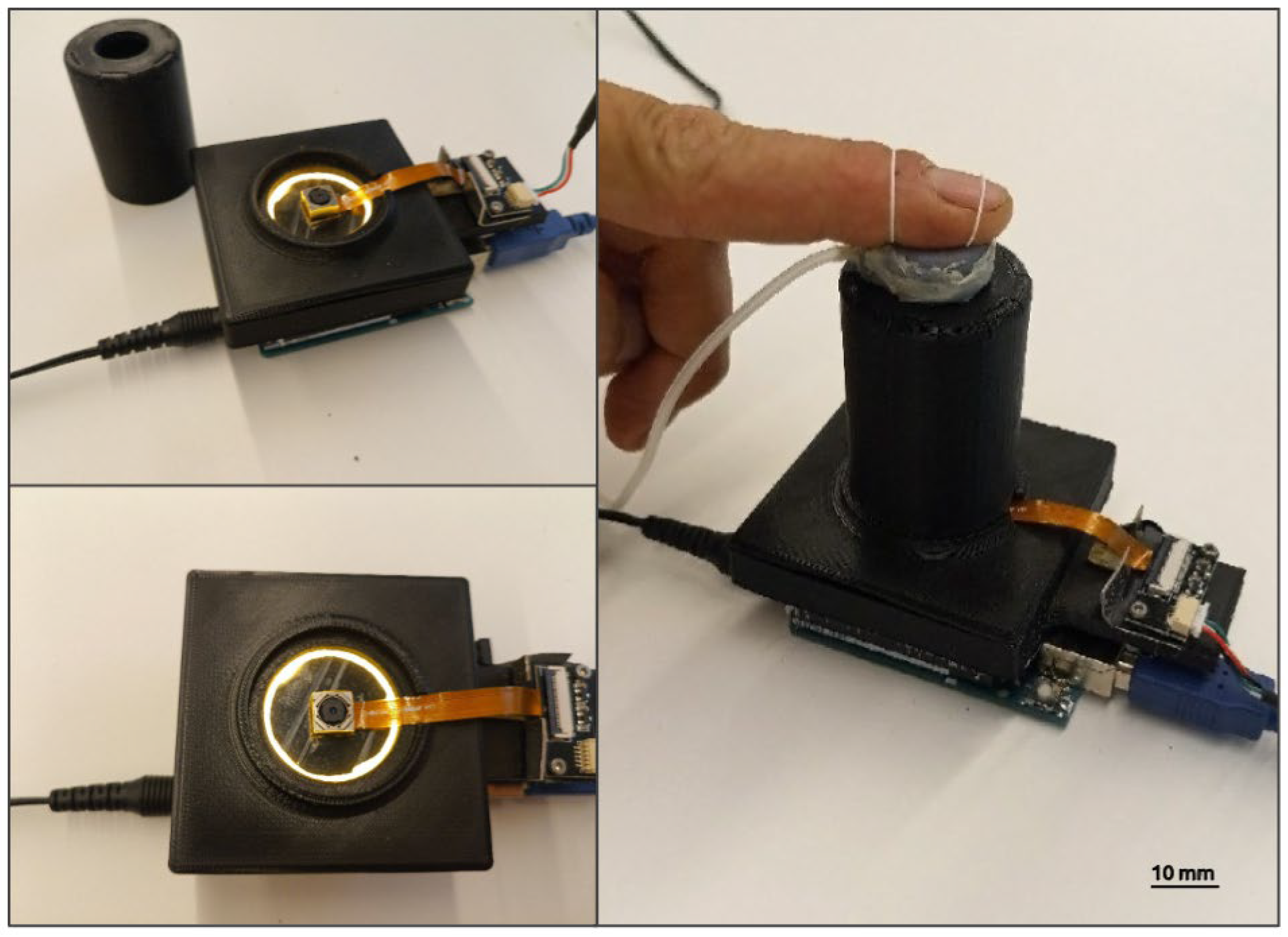 Sensors 24 06770 g007