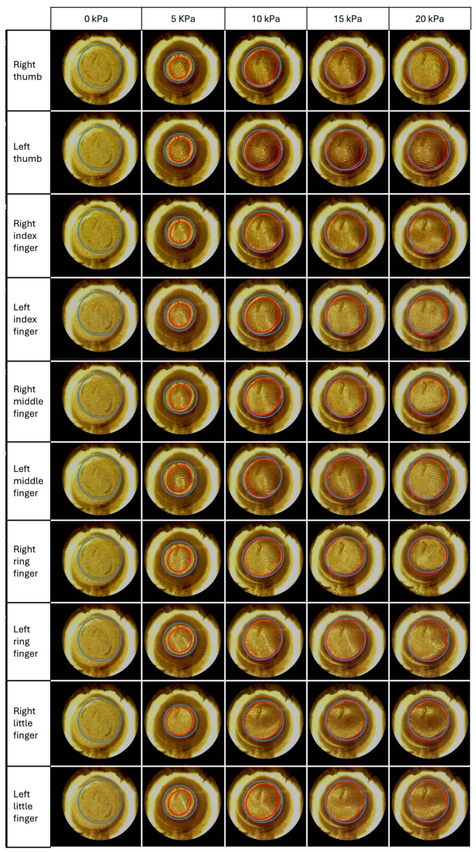 Sensors 24 06770 g009