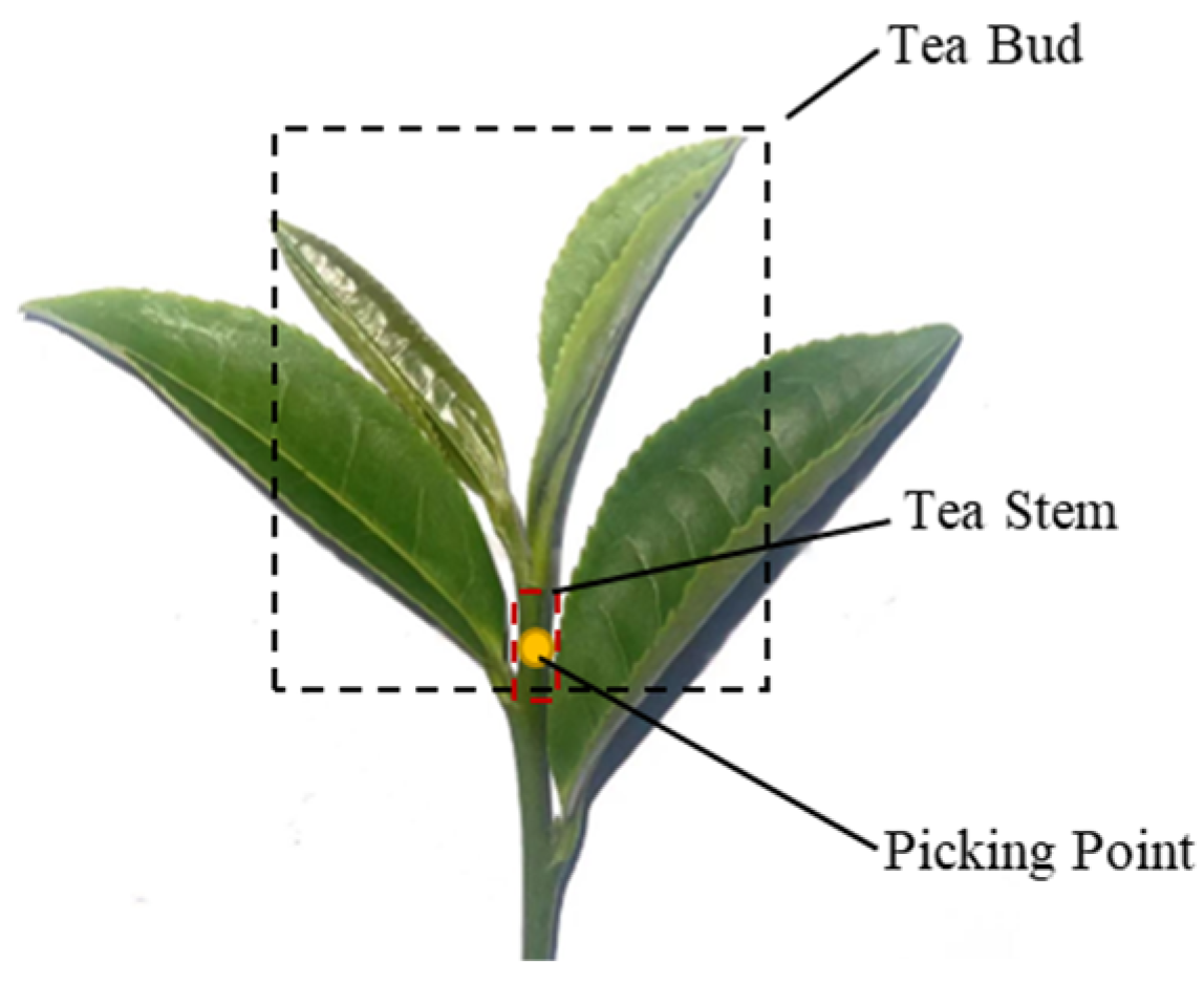 Sensors 24 06777 g001