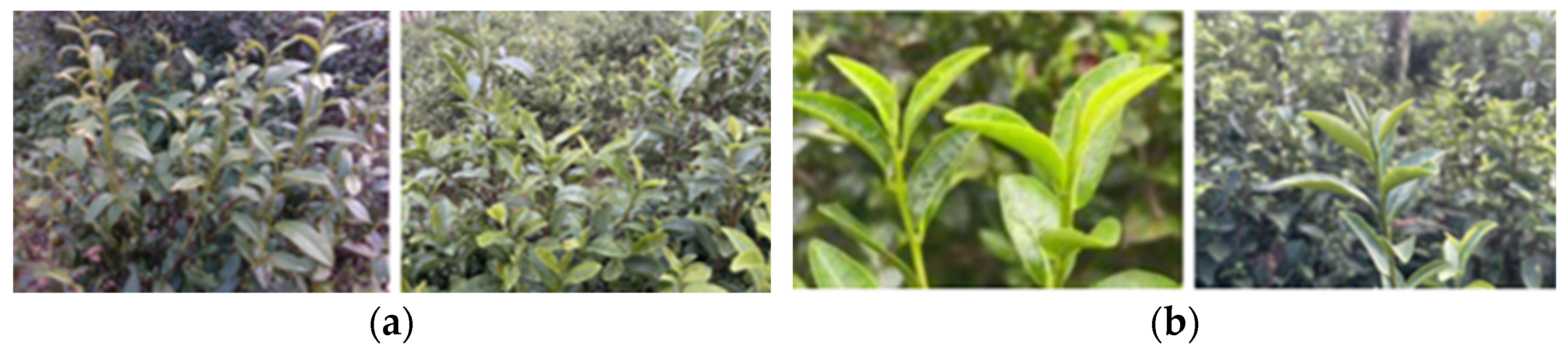 Sensors 24 06777 g003