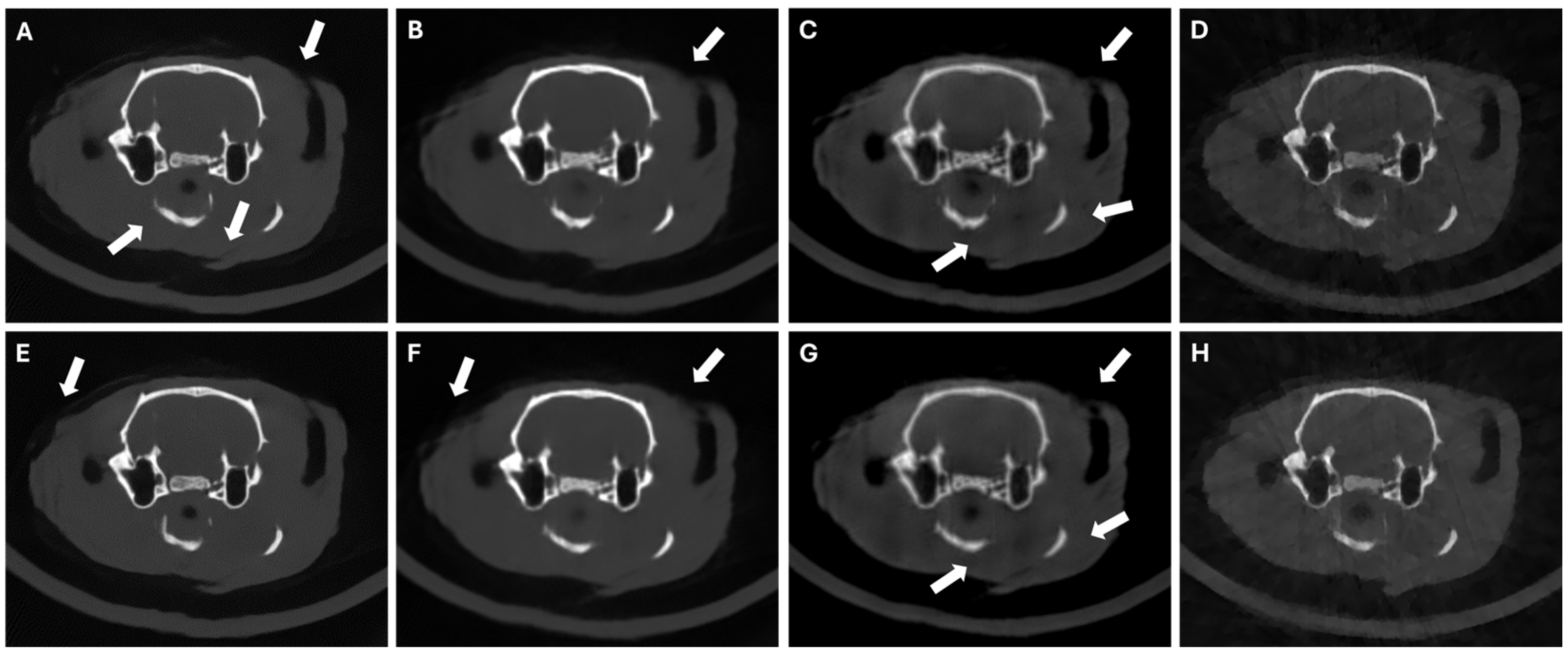 Sensors 24 06782 g006 Sensors 24 06782 g006