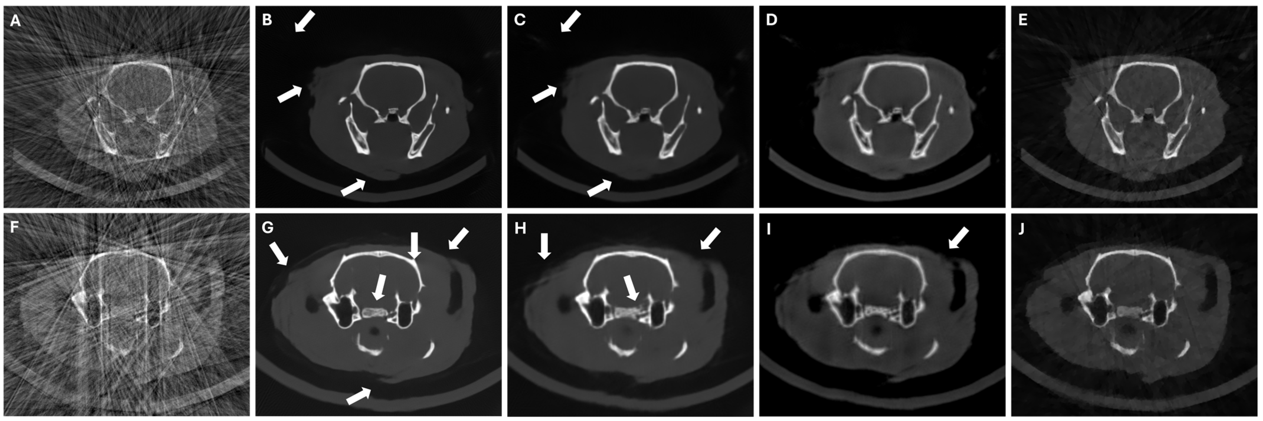 Sensors 24 06782 g008 Sensors 24 06782 g008