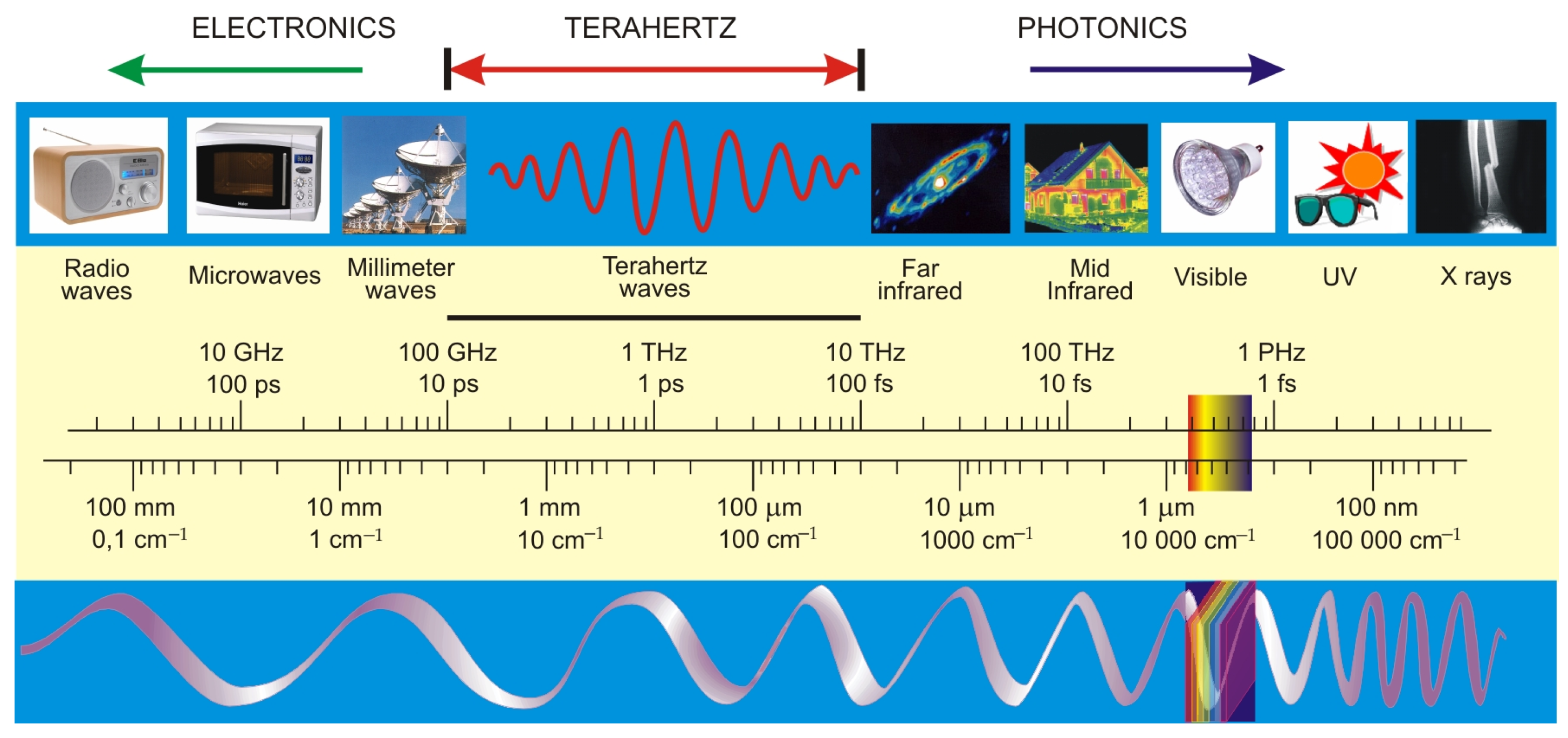 Sensors 24 06784 g001