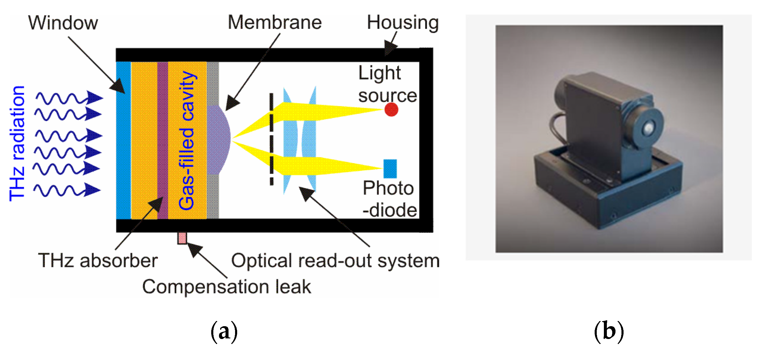 Sensors 24 06784 g007