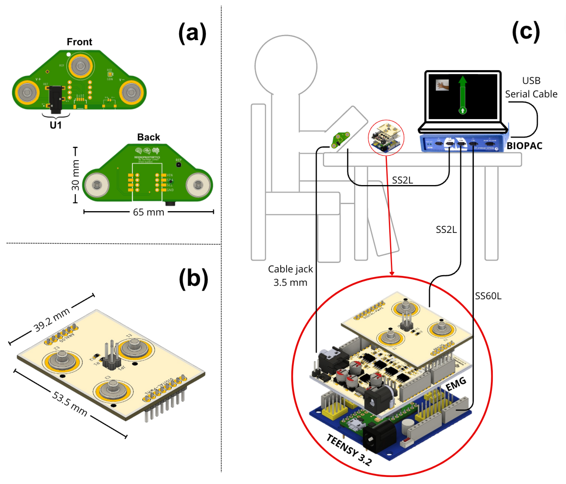 Sensors 24 06787 g002