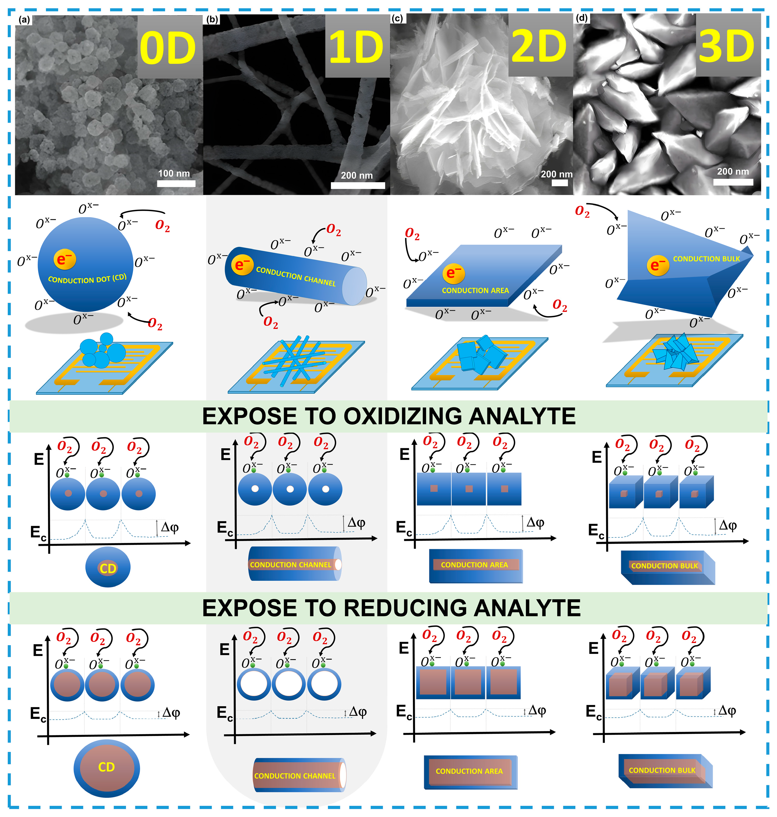 Sensors 24 06797 g003