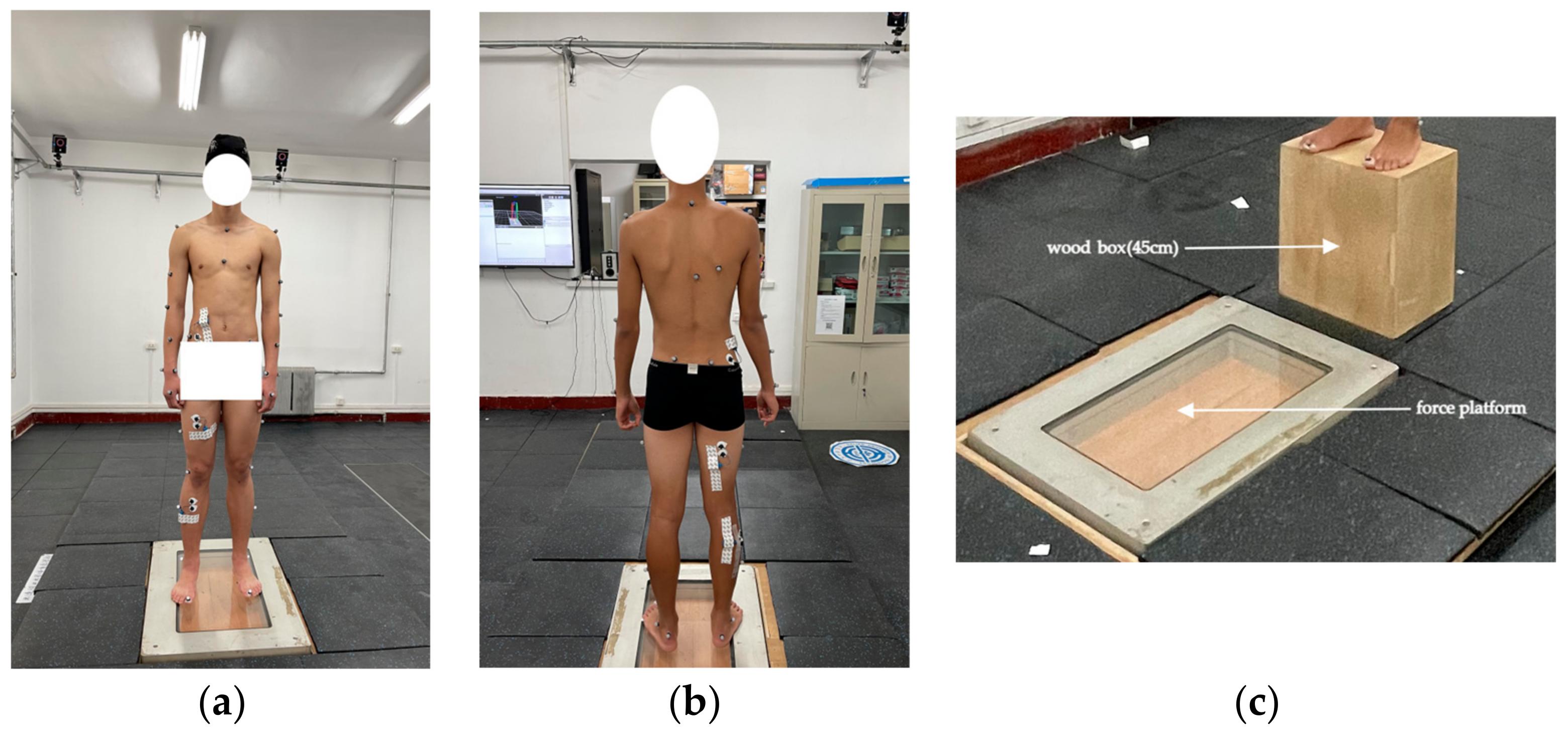 Sensors 24 06811 g002