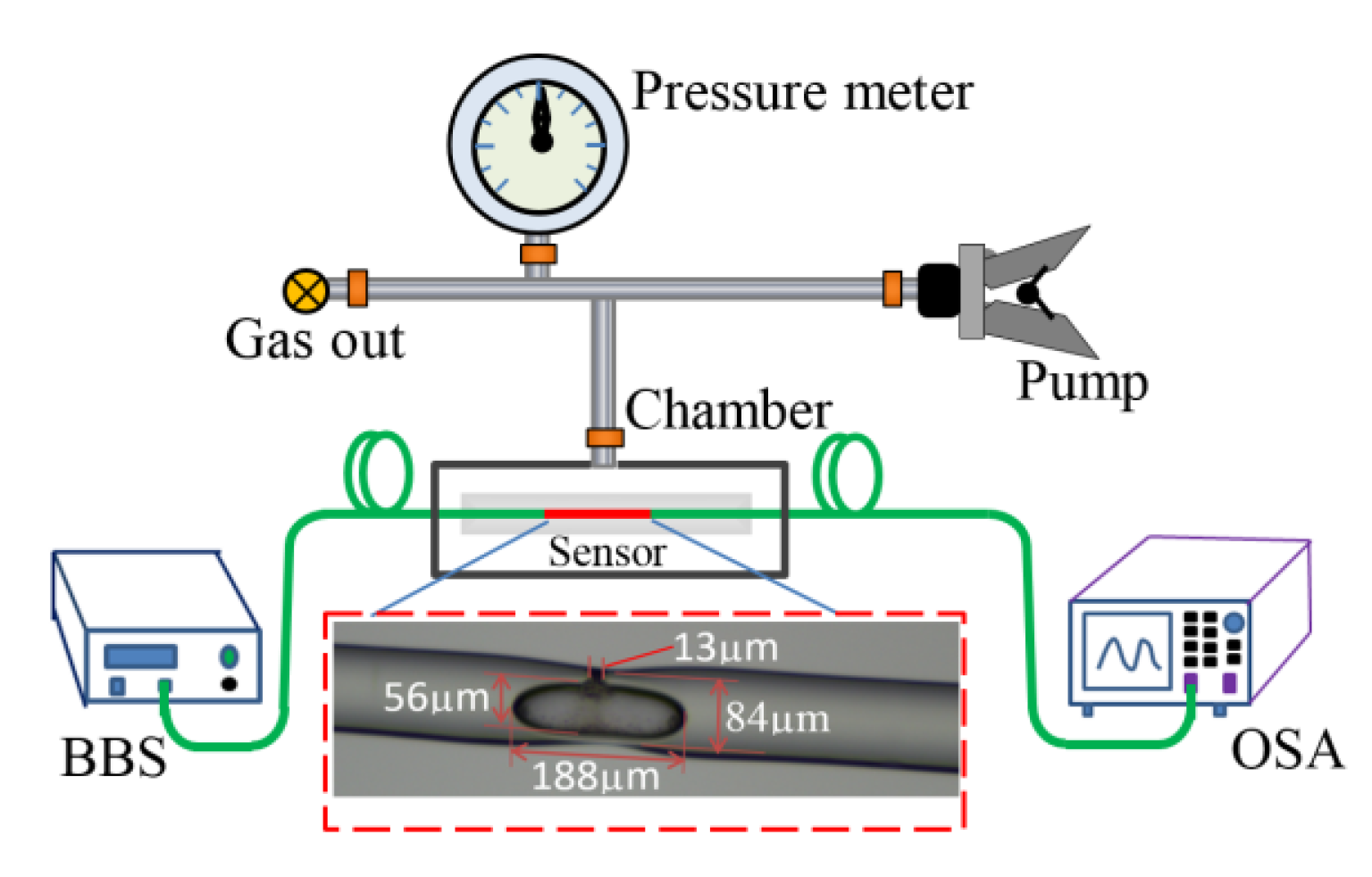 Sensors 24 06844 g005